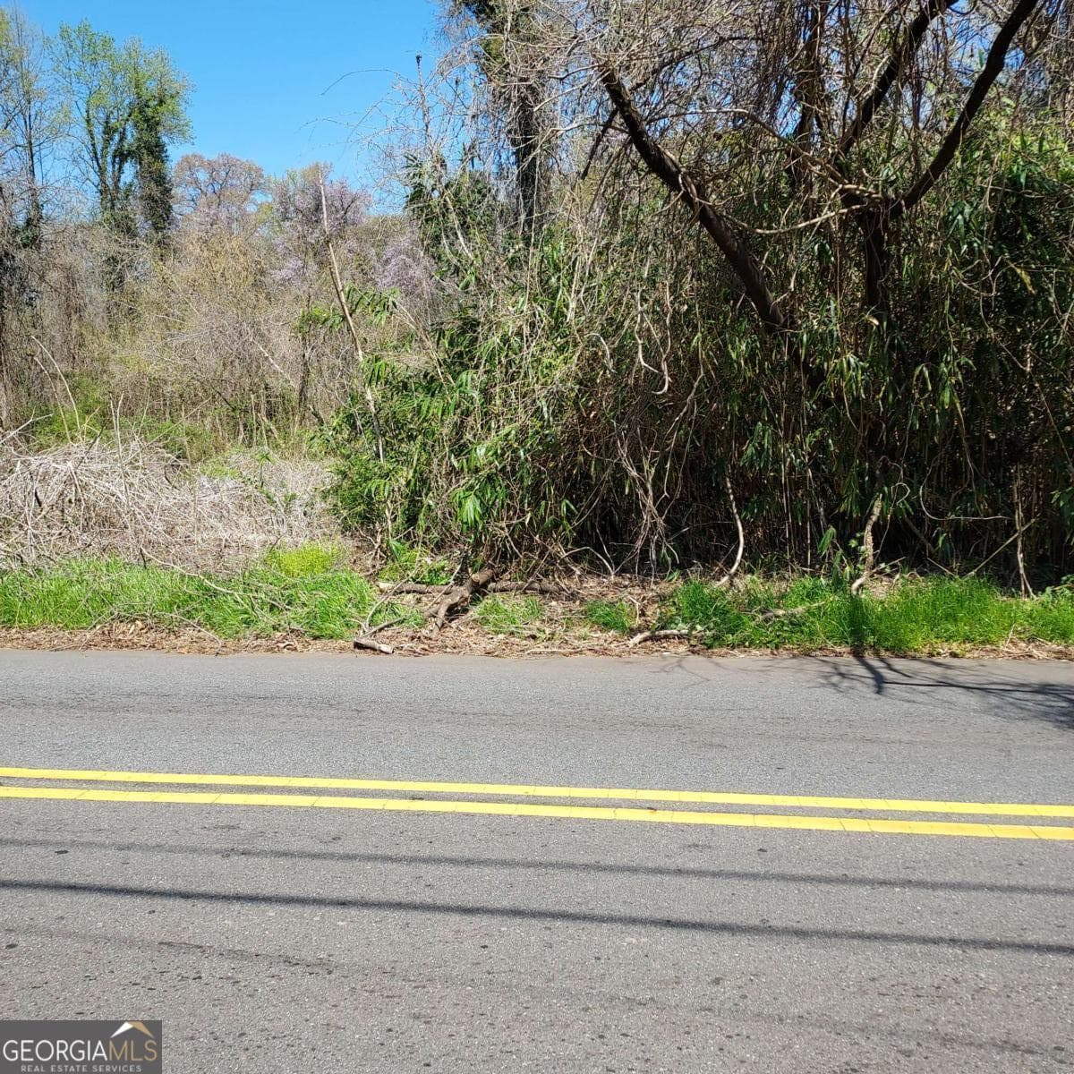 residential lot for sale at 2397 Lakewood Avenue, Atlanta, GA 30315 — photo 1 of 3