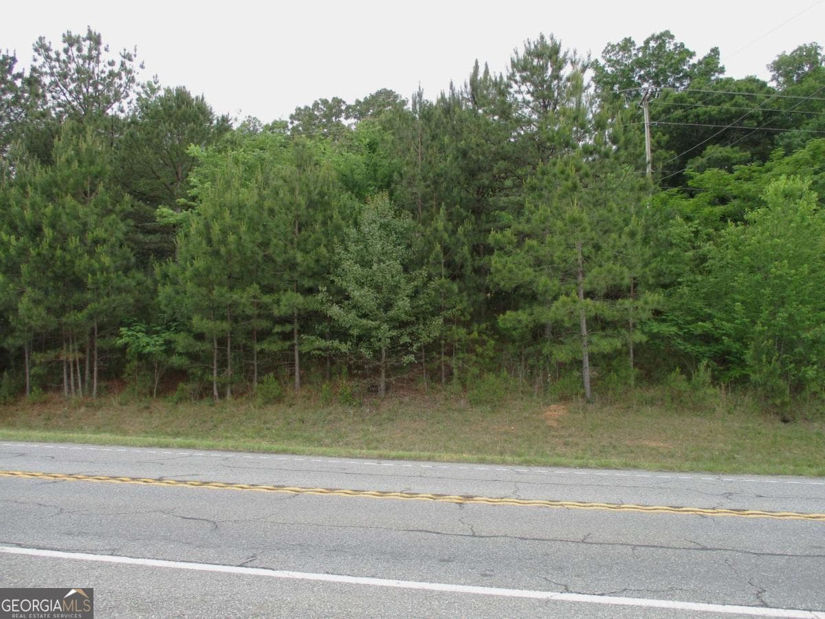 residential lot for sale at 656 & 666 Chatsworth Highway, Calhoun, GA 30701 — photo 10