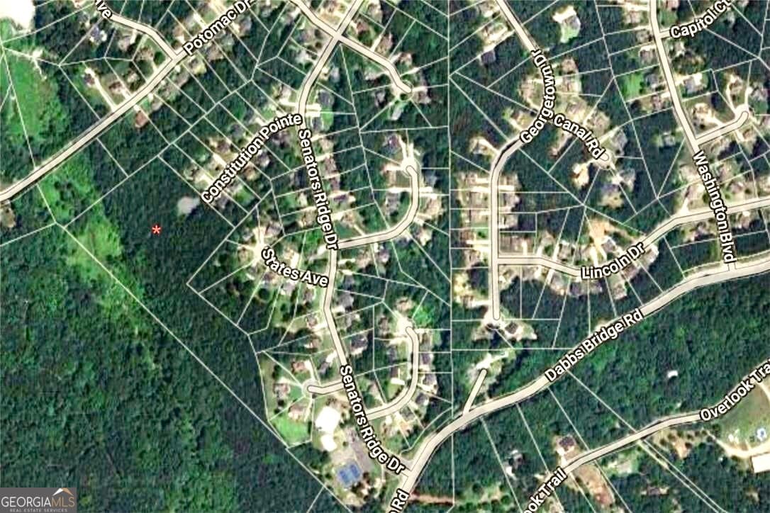 residential lot for sale at 144 Constitution Point, Dallas, GA 30132 — photo 4