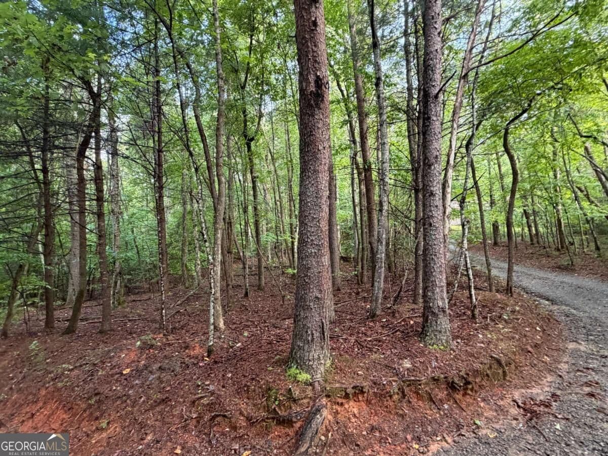 residential lot for sale at 0 Peach Lane, Ellijay, GA 30536 — photo 2