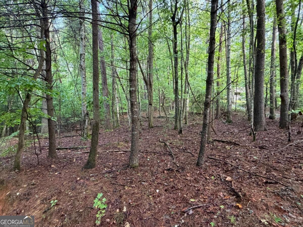 residential lot for sale at 0 Peach Lane, Ellijay, GA 30536 — photo 3