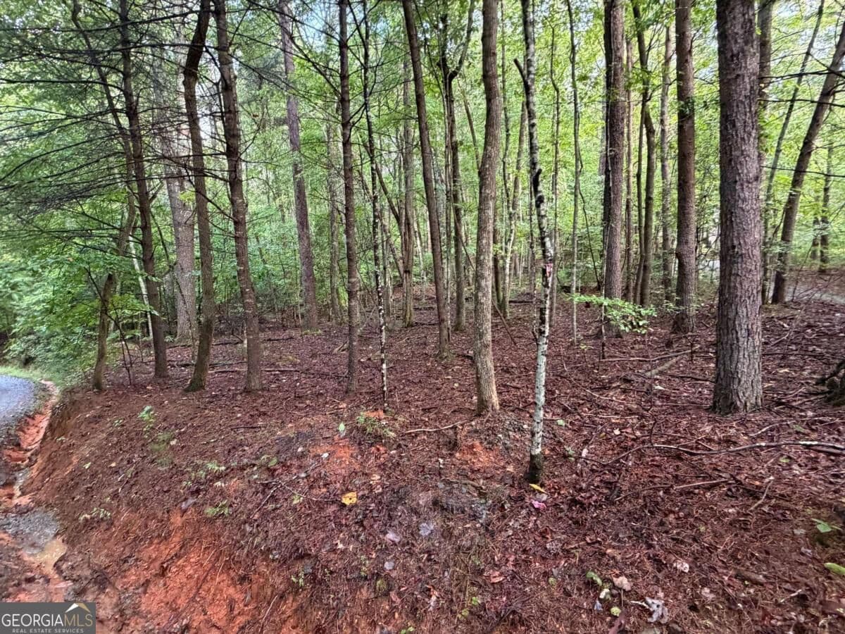 residential lot for sale at 0 Peach Lane, Ellijay, GA 30536 — photo 1 of 4