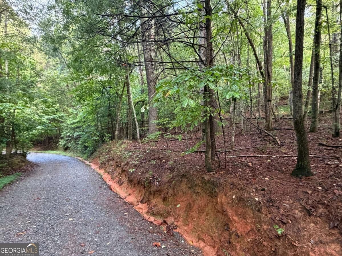 residential lot for sale at 0 Peach Lane, Ellijay, GA 30536 — photo 4