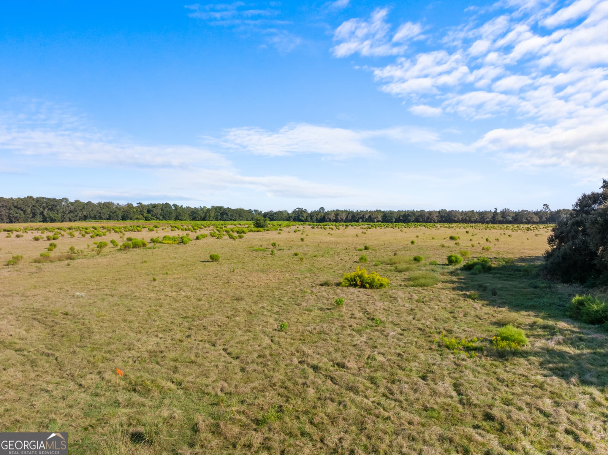 residential lot for sale at 0 Shearouse Landing Road LOT 5, Brooklet, GA 30415 — photo 5