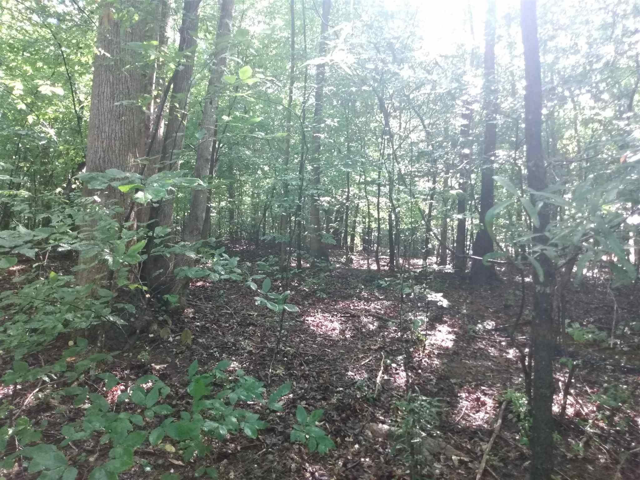 residential lot for sale at 0 Bow Drive, Lavonia, GA 30553 — photo 2