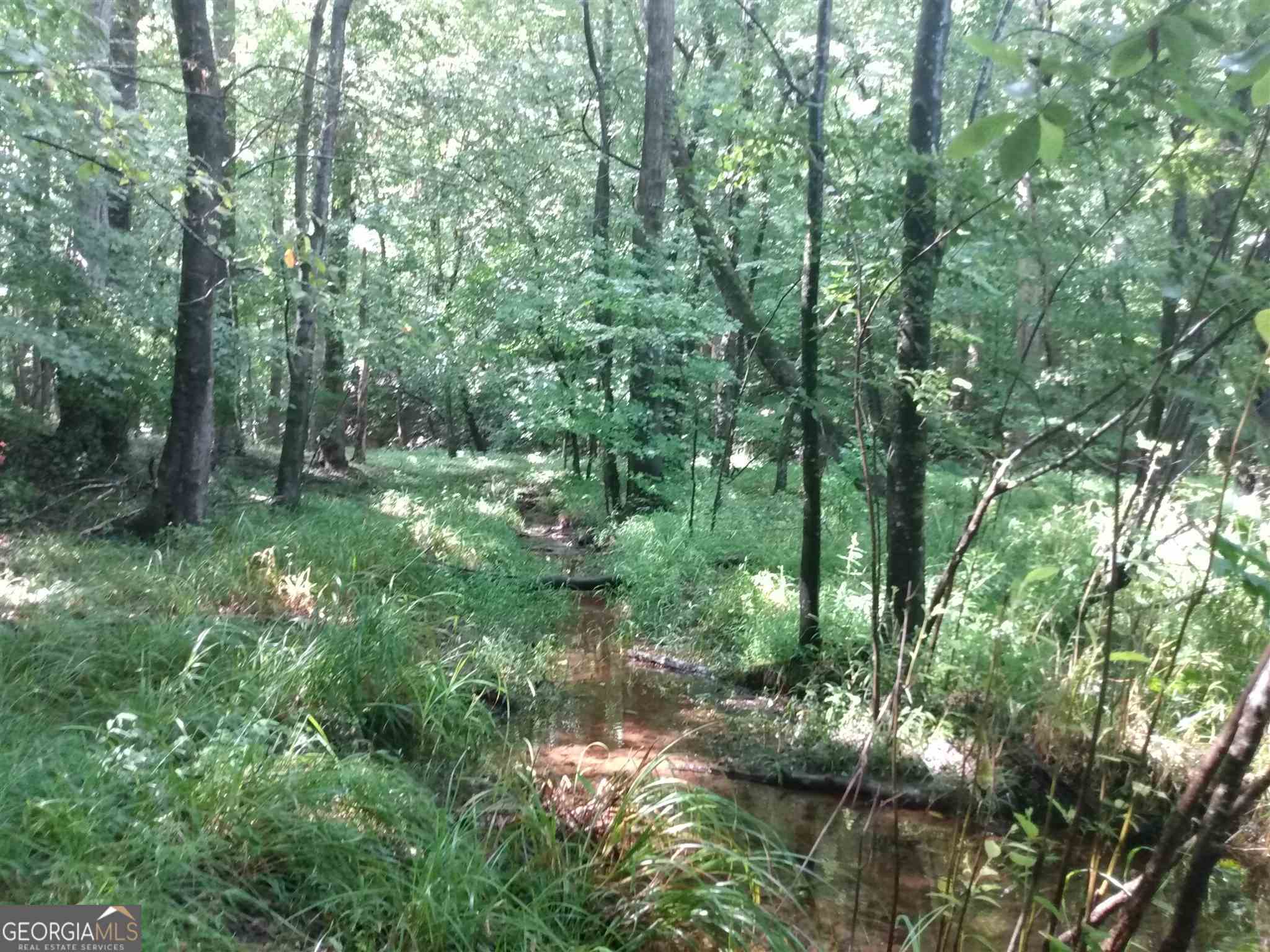 residential lot for sale at 0 Bow Drive, Lavonia, GA 30553 — photo 1 of 4