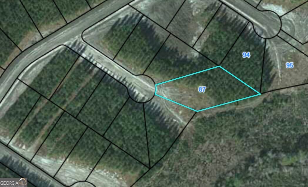 residential lot for sale at 87 Eagles Crest, Waynesville, GA 31566