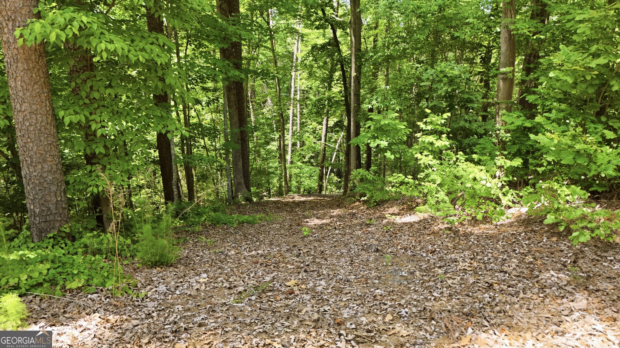 residential lot for sale at 237 Waters Edge Court, Martin, GA 30557 — photo 6