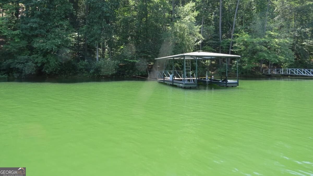 residential lot for sale at 237 Waters Edge Court, Martin, GA 30557 — photo 7