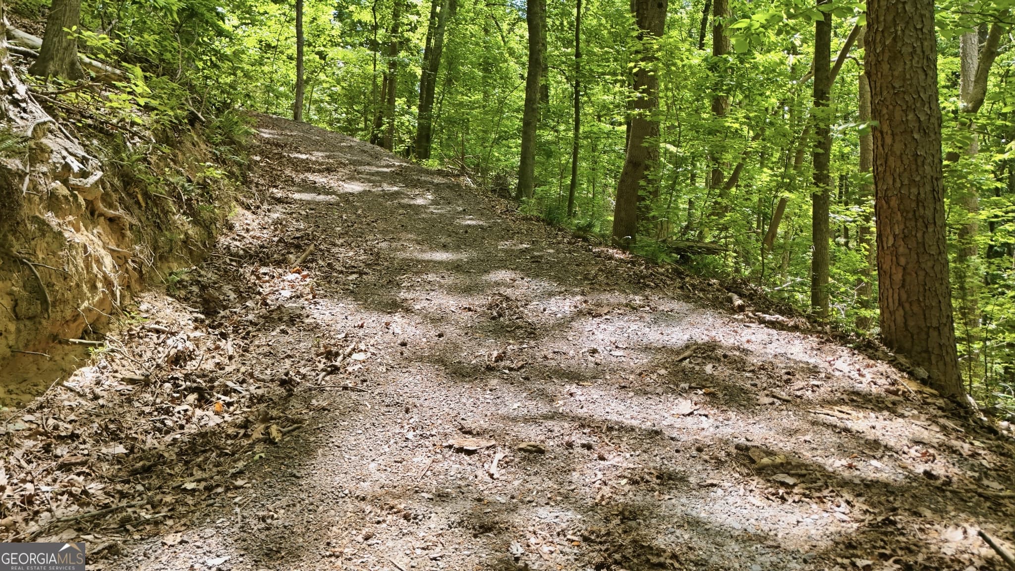 residential lot for sale at 237 Waters Edge Court, Martin, GA 30557 — photo 9