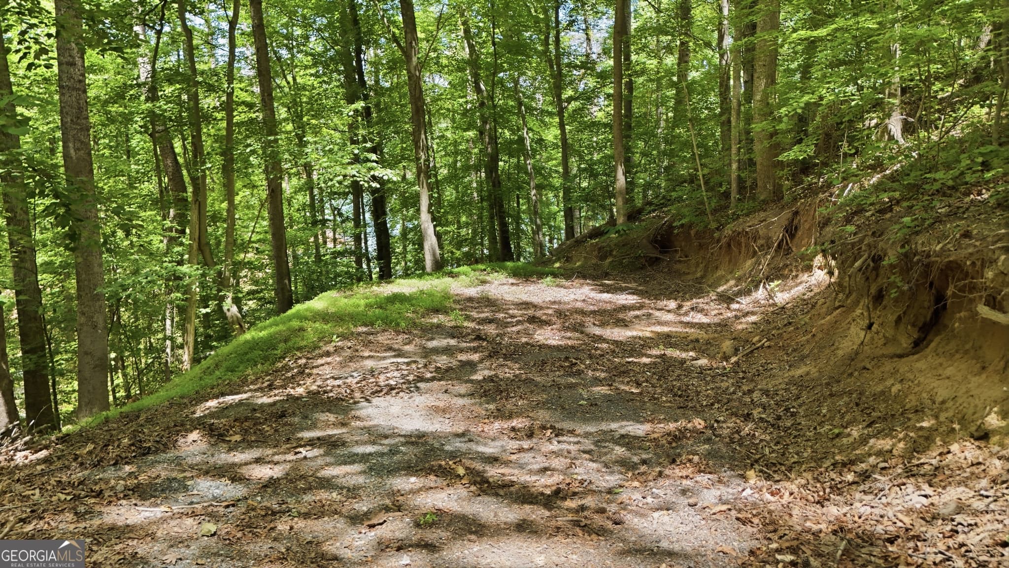 residential lot for sale at 237 Waters Edge Court, Martin, GA 30557 — photo 10