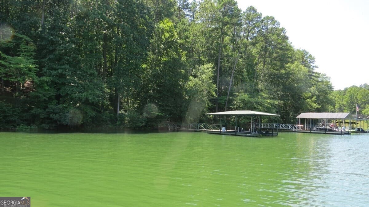 residential lot for sale at 237 Waters Edge Court, Martin, GA 30557 — photo 8