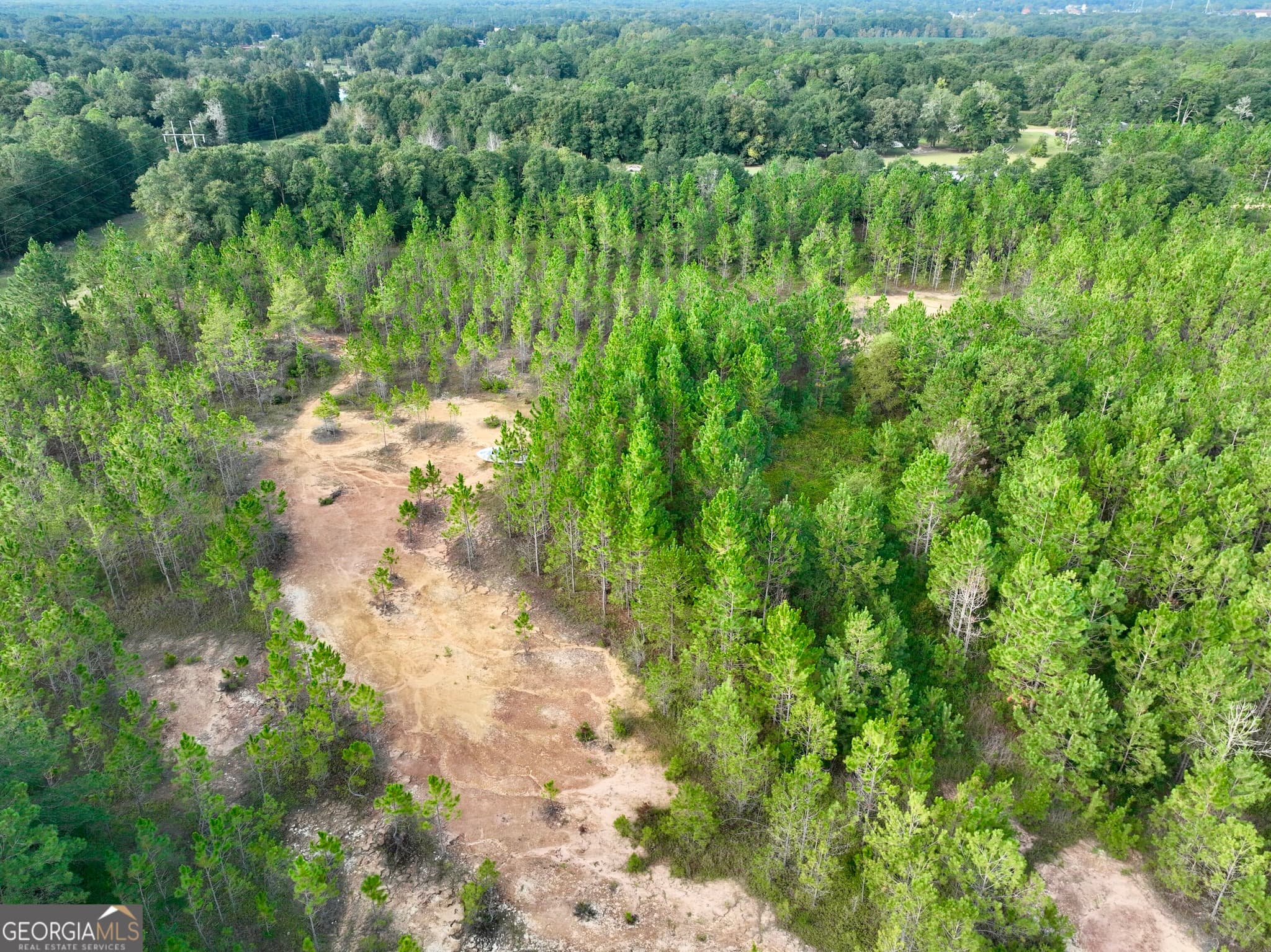 agriculture for sale at 0 Carol Drive, Hawkinsville, GA 31036 — photo 2