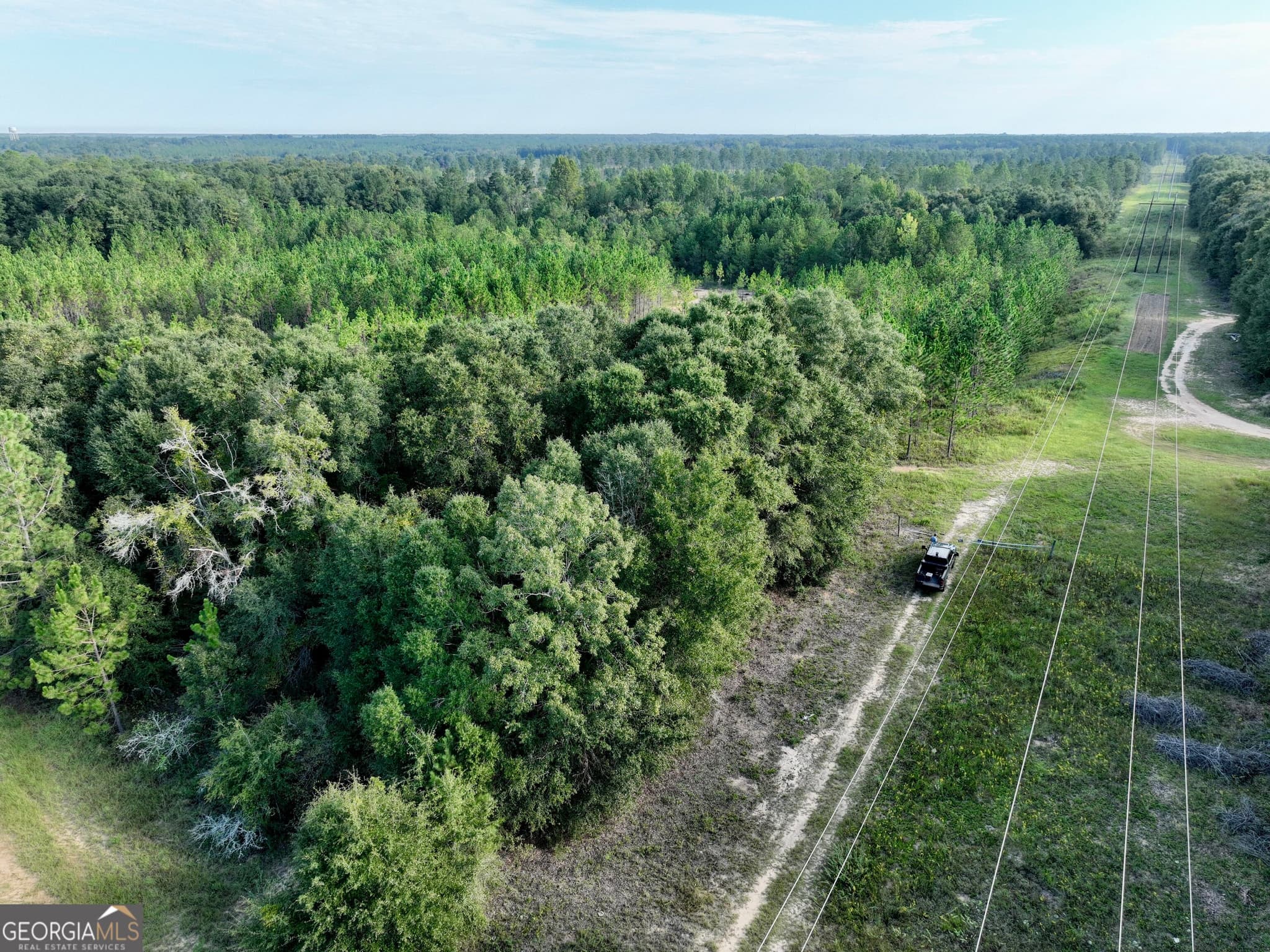 agriculture for sale at 0 Carol Drive, Hawkinsville, GA 31036 — photo 7