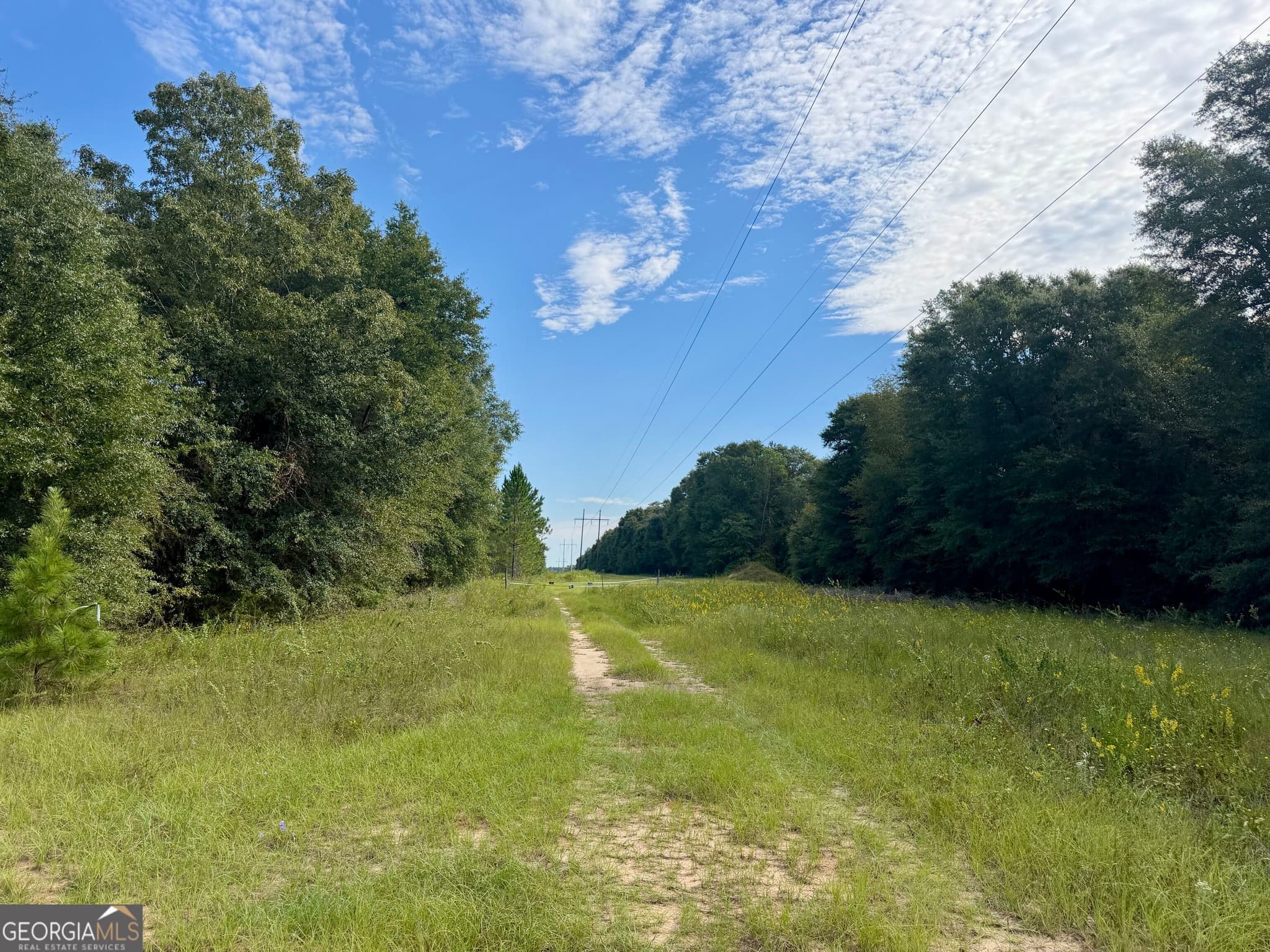 agriculture for sale at 0 Carol Drive, Hawkinsville, GA 31036 — photo 3