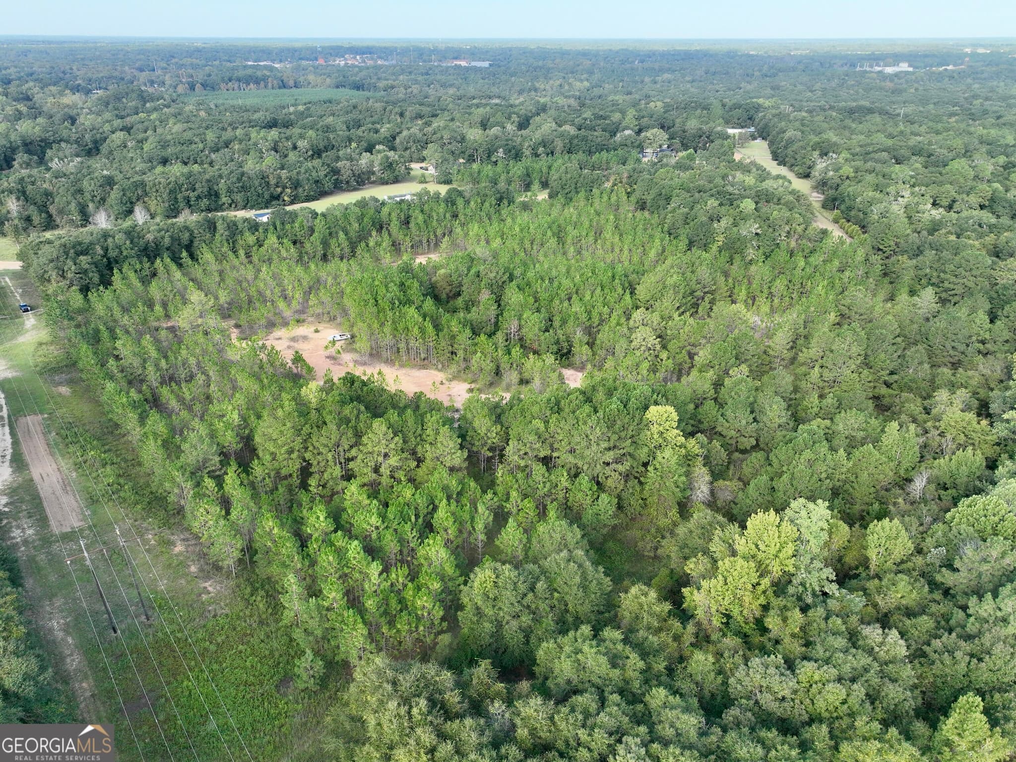 agriculture for sale at 0 Carol Drive, Hawkinsville, GA 31036 — photo 1 of 28