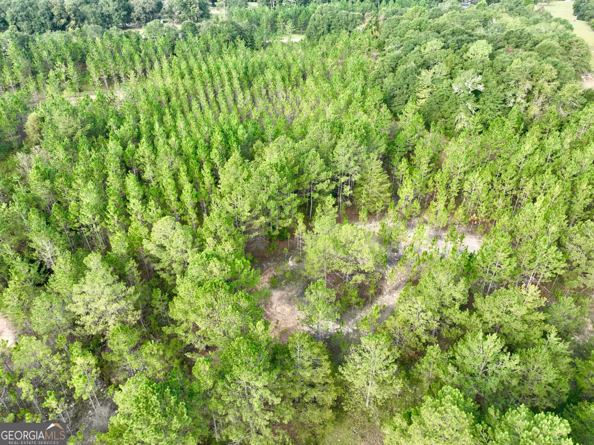agriculture for sale at 0 Carol Drive, Hawkinsville, GA 31036 — photo 5