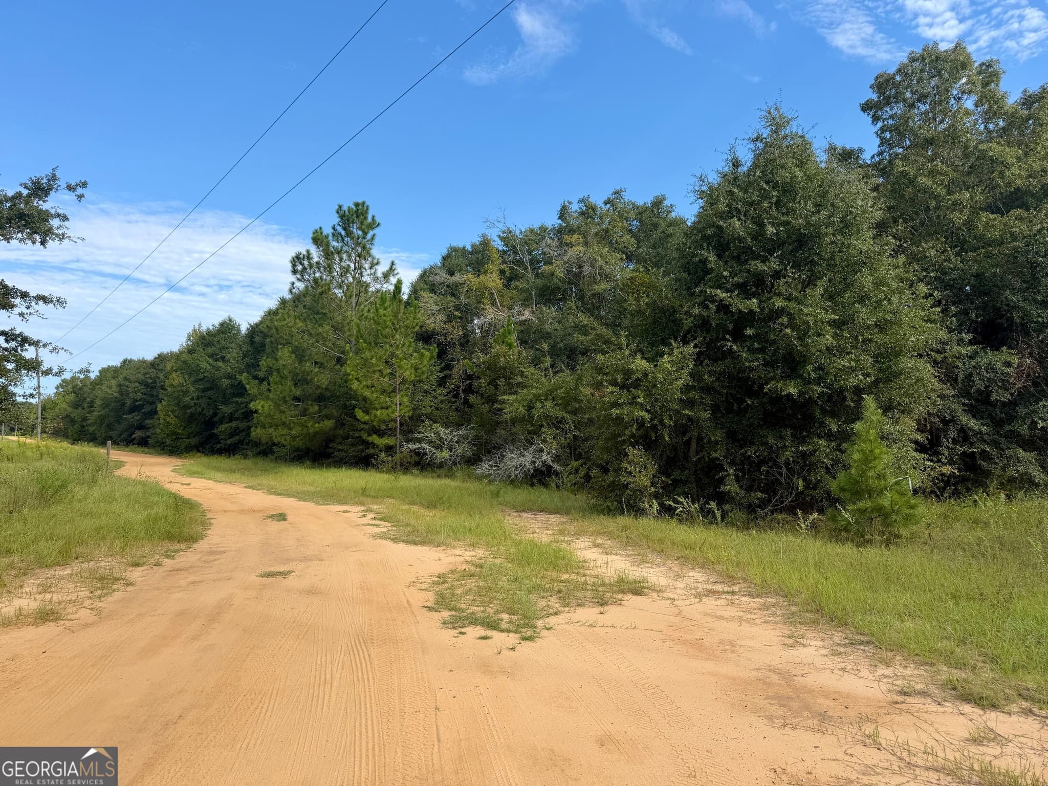 agriculture for sale at 0 Carol Drive, Hawkinsville, GA 31036 — photo 9