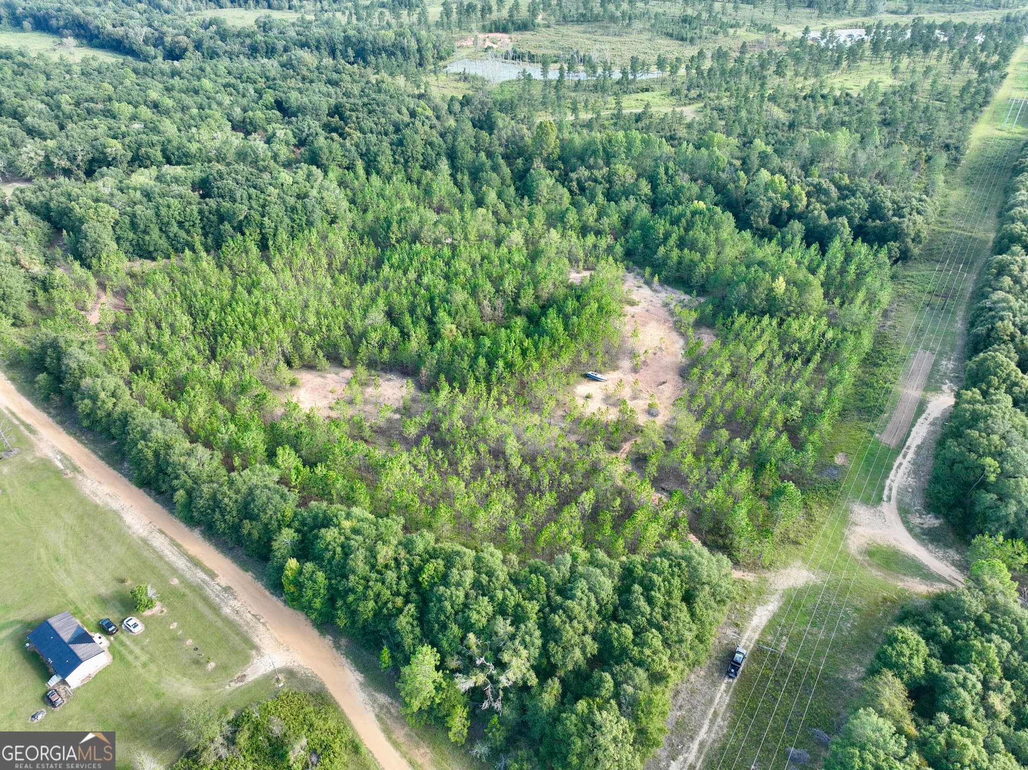 agriculture for sale at 0 Carol Drive, Hawkinsville, GA 31036 — photo 10