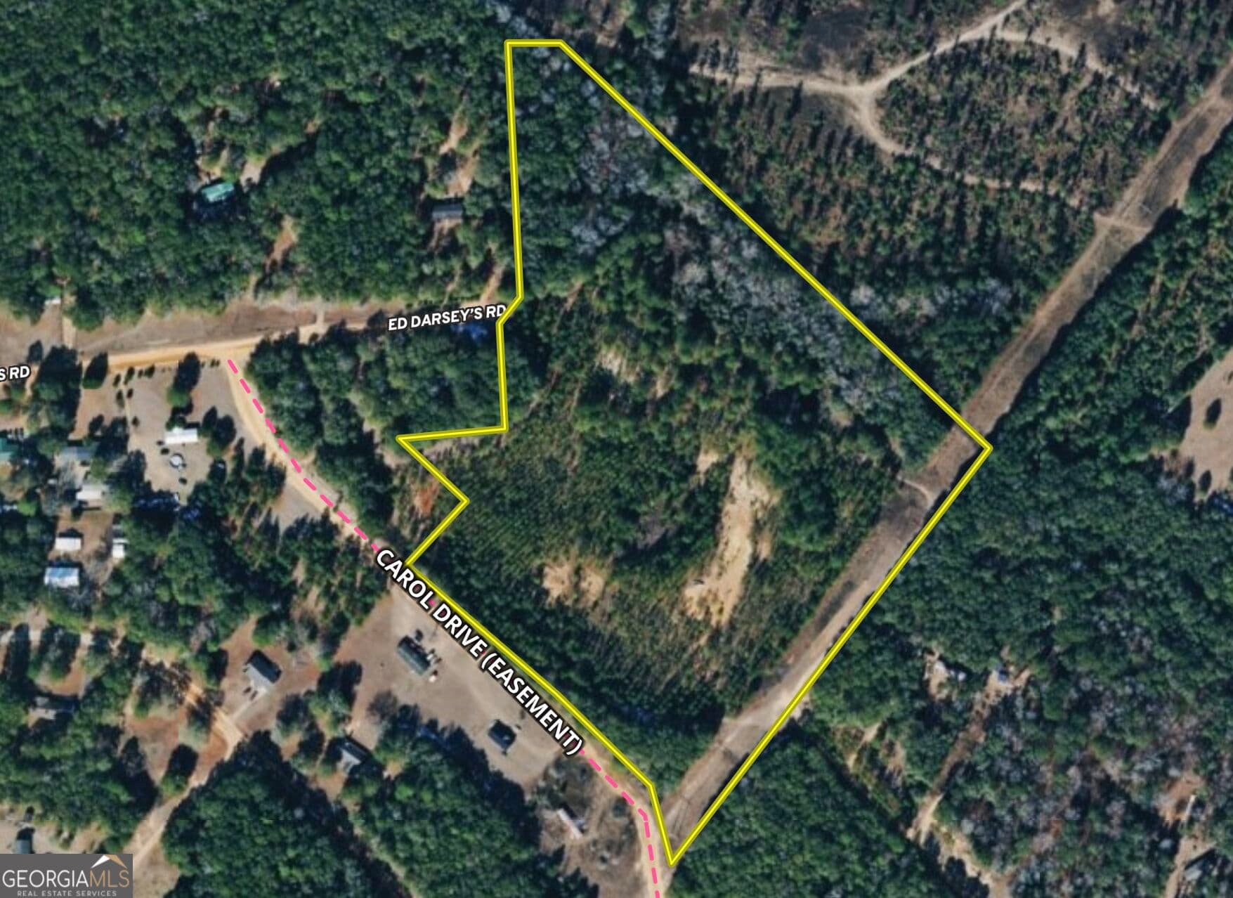agriculture for sale at 0 Carol Drive, Hawkinsville, GA 31036 — photo 4
