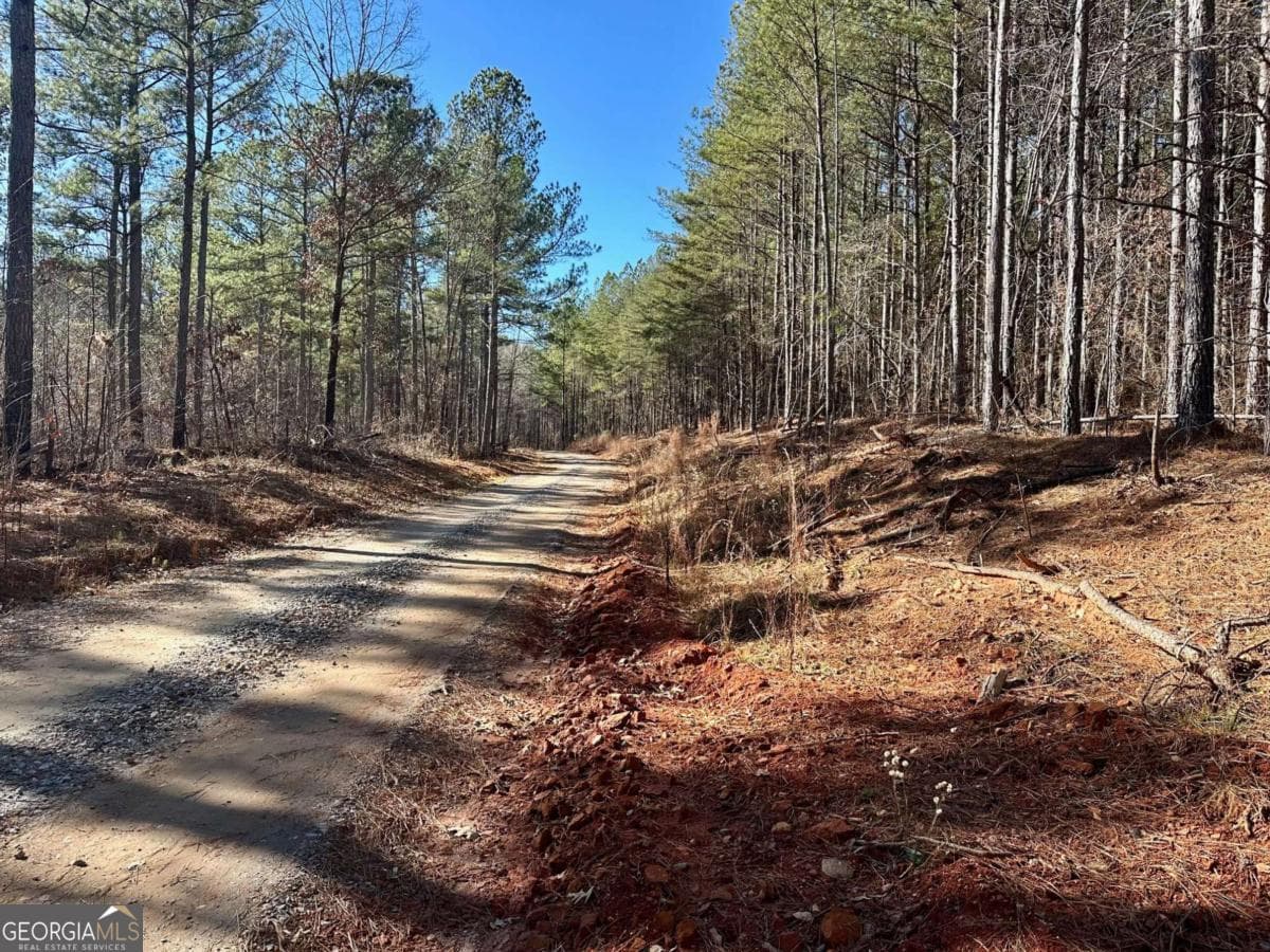 residential lot for sale at 1107 Larmon Forks Road, Dahlonega, GA 30533 — photo 2
