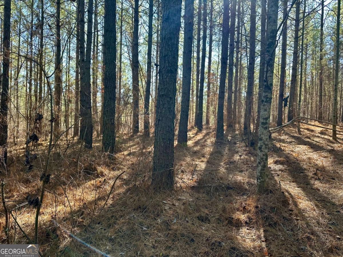 residential lot for sale at 1107 Larmon Forks Road, Dahlonega, GA 30533 — photo 6
