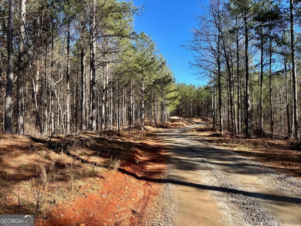 residential lot for sale at 1107 Larmon Forks Road, Dahlonega, GA 30533 — photo 3