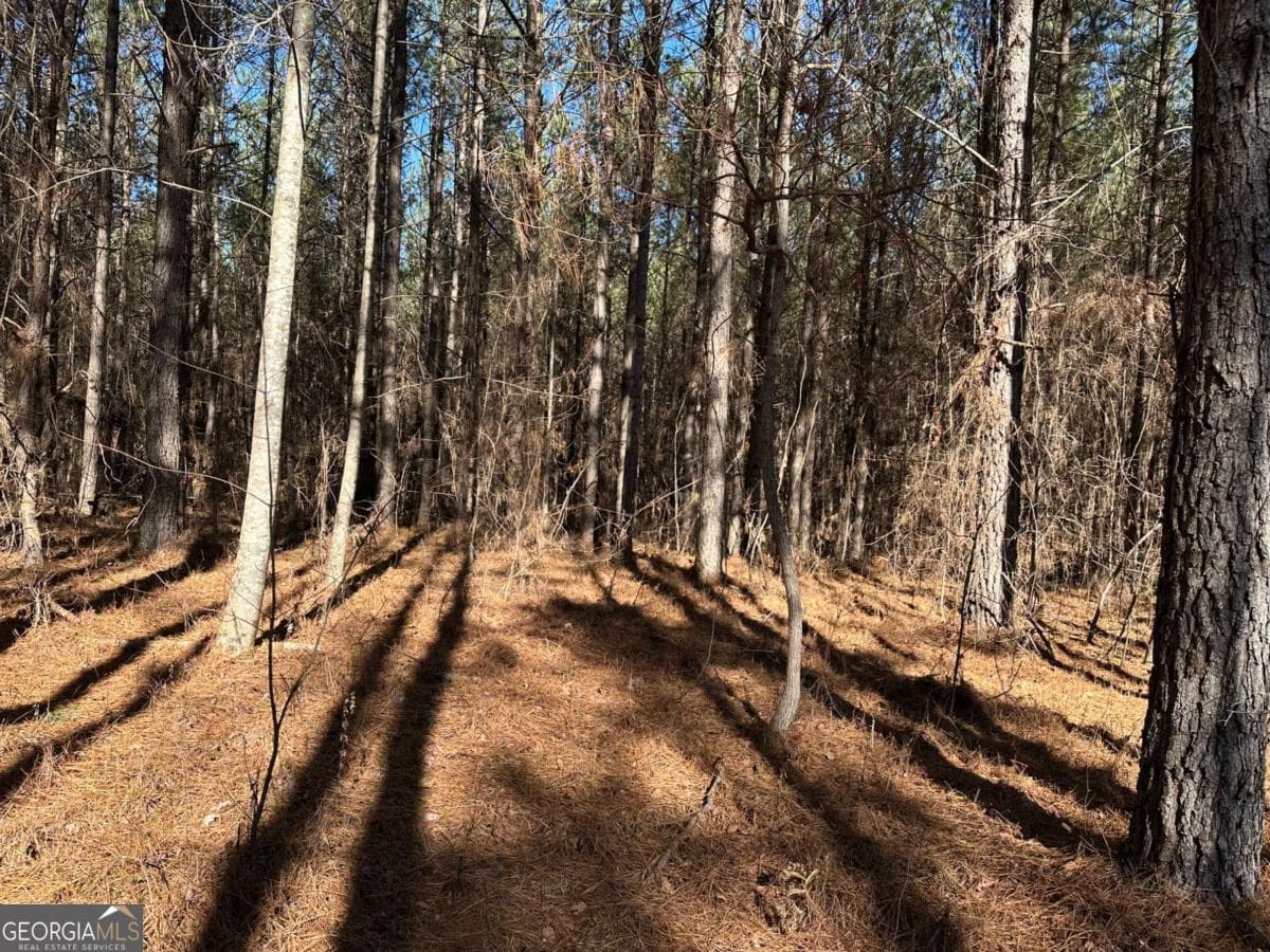 residential lot for sale at 1107 Larmon Forks Road, Dahlonega, GA 30533 — photo 1 of 9