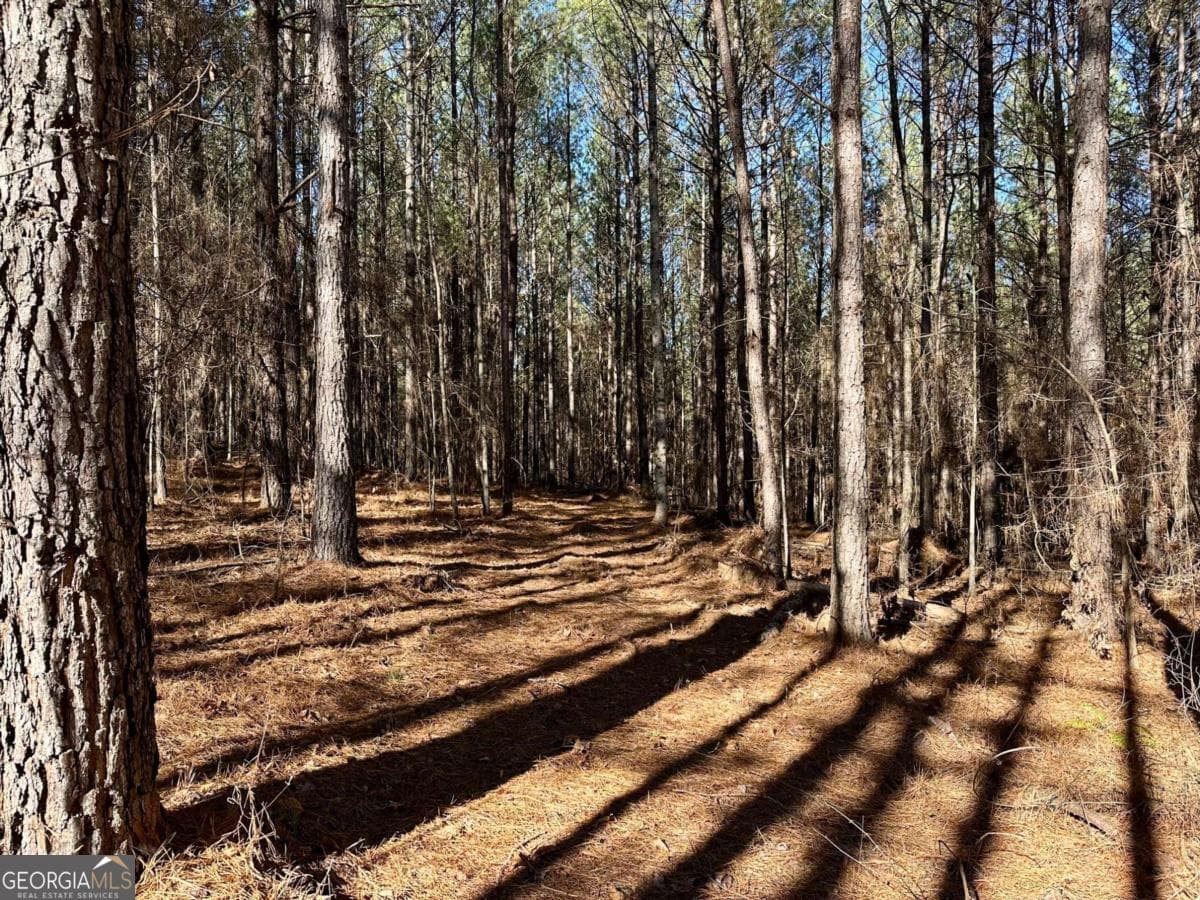 residential lot for sale at 1107 Larmon Forks Road, Dahlonega, GA 30533 — photo 5