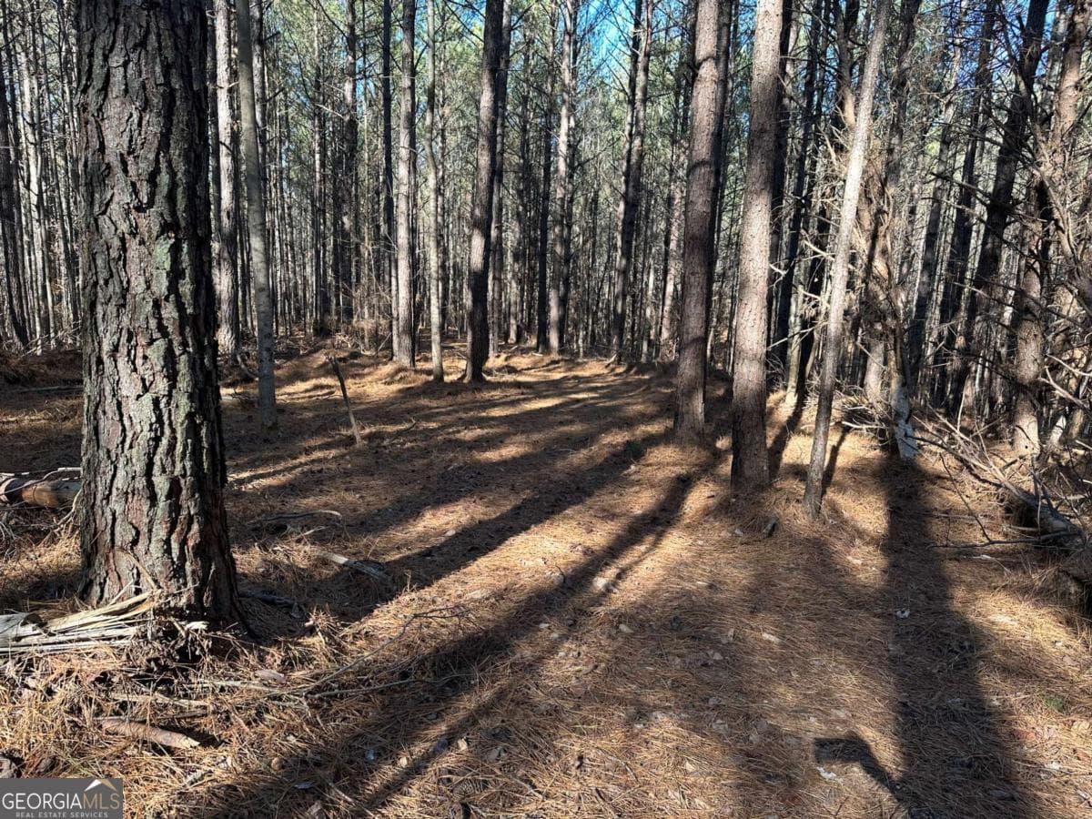 residential lot for sale at 1107 Larmon Forks Road, Dahlonega, GA 30533 — photo 9