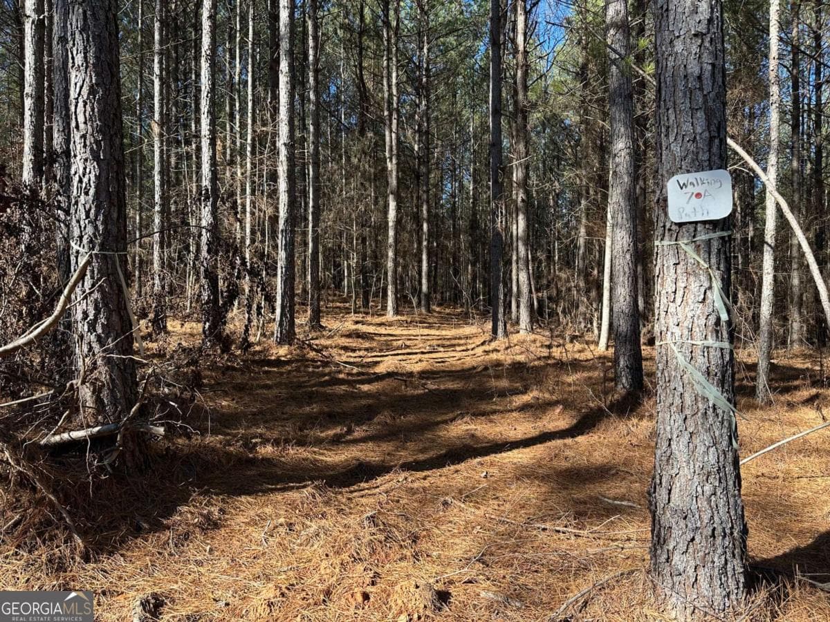 residential lot for sale at 1107 Larmon Forks Road, Dahlonega, GA 30533 — photo 4