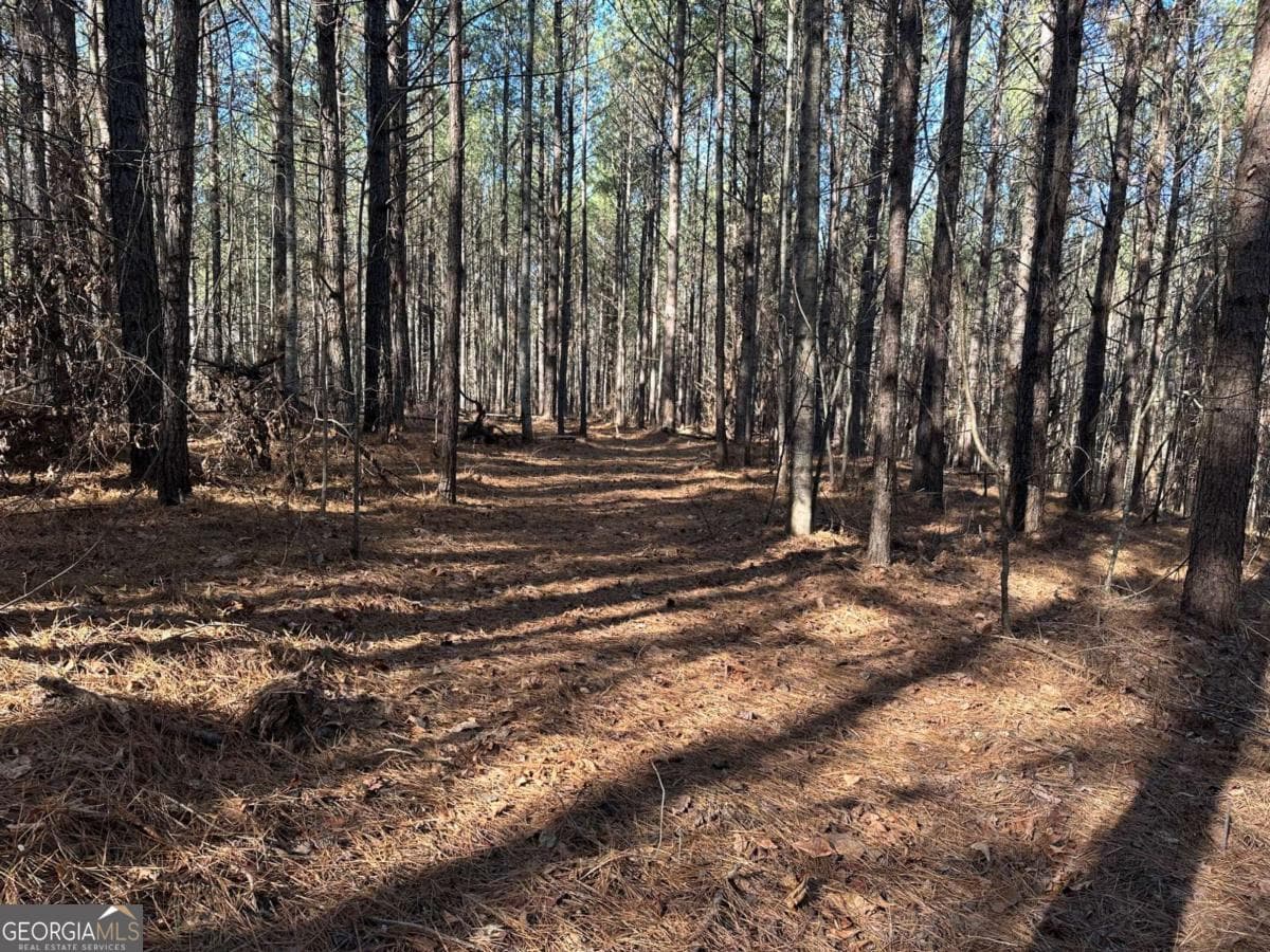 residential lot for sale at 1107 Larmon Forks Road, Dahlonega, GA 30533 — photo 8