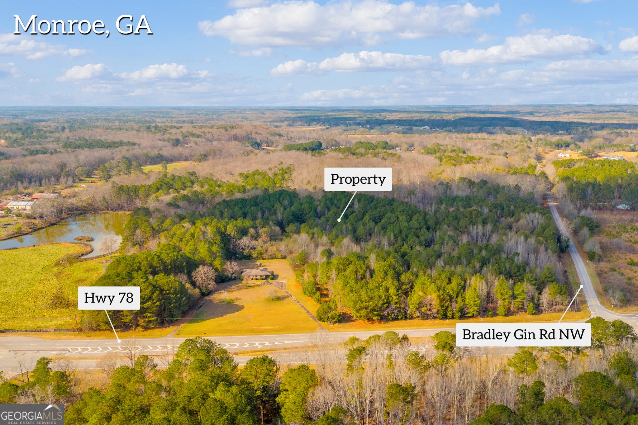 unimproved land for sale at 375 Hwy 78, Monroe, GA 30655 — photo 3