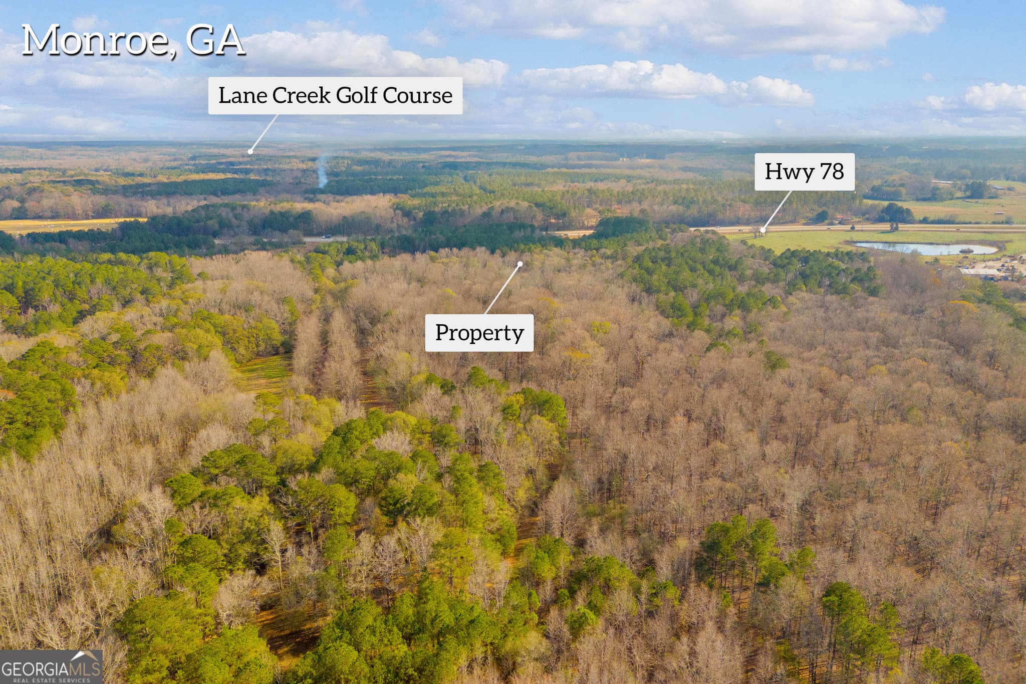 unimproved land for sale at 375 Hwy 78, Monroe, GA 30655 — photo 5