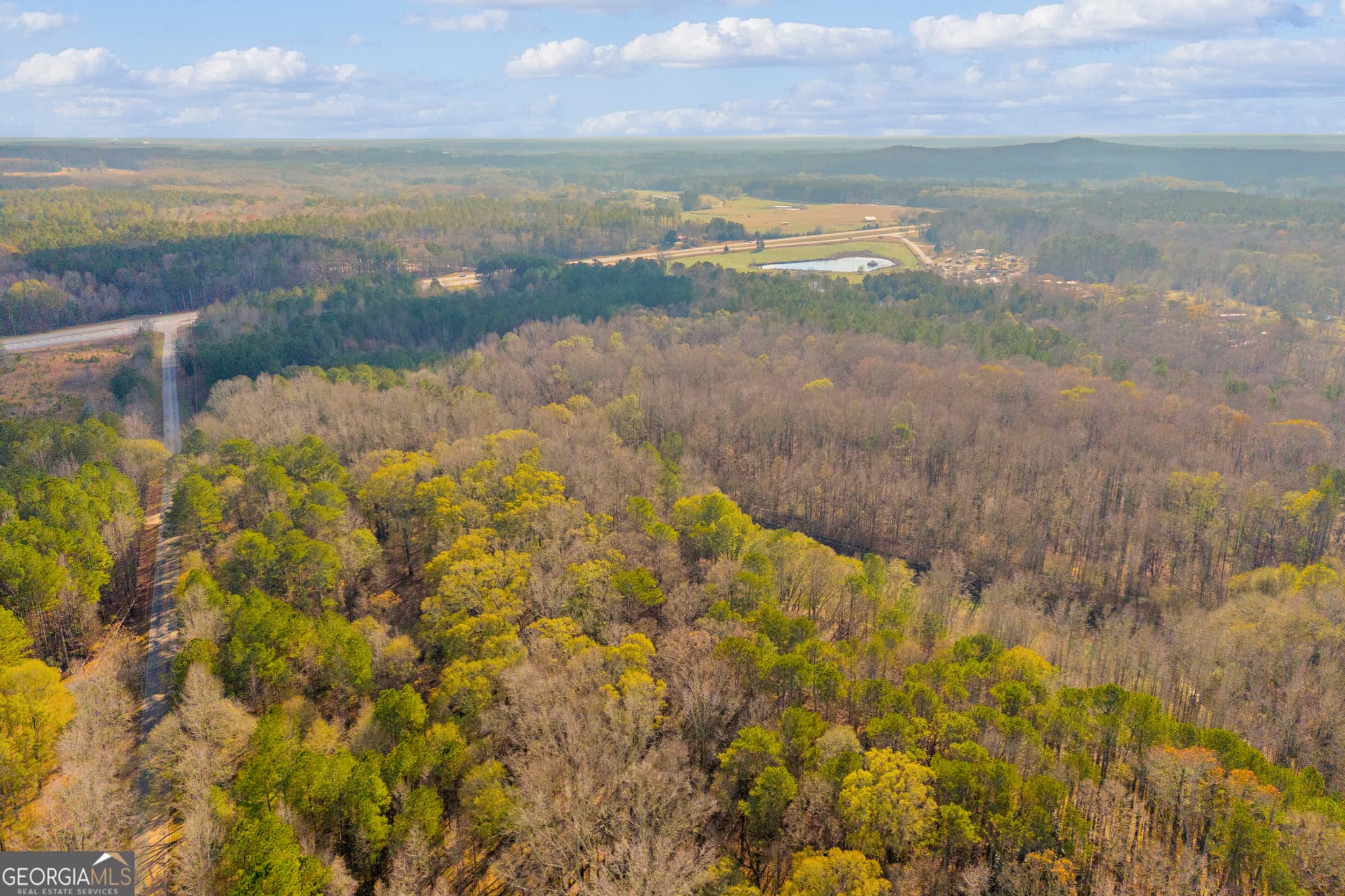 unimproved land for sale at 375 Hwy 78, Monroe, GA 30655 — photo 9