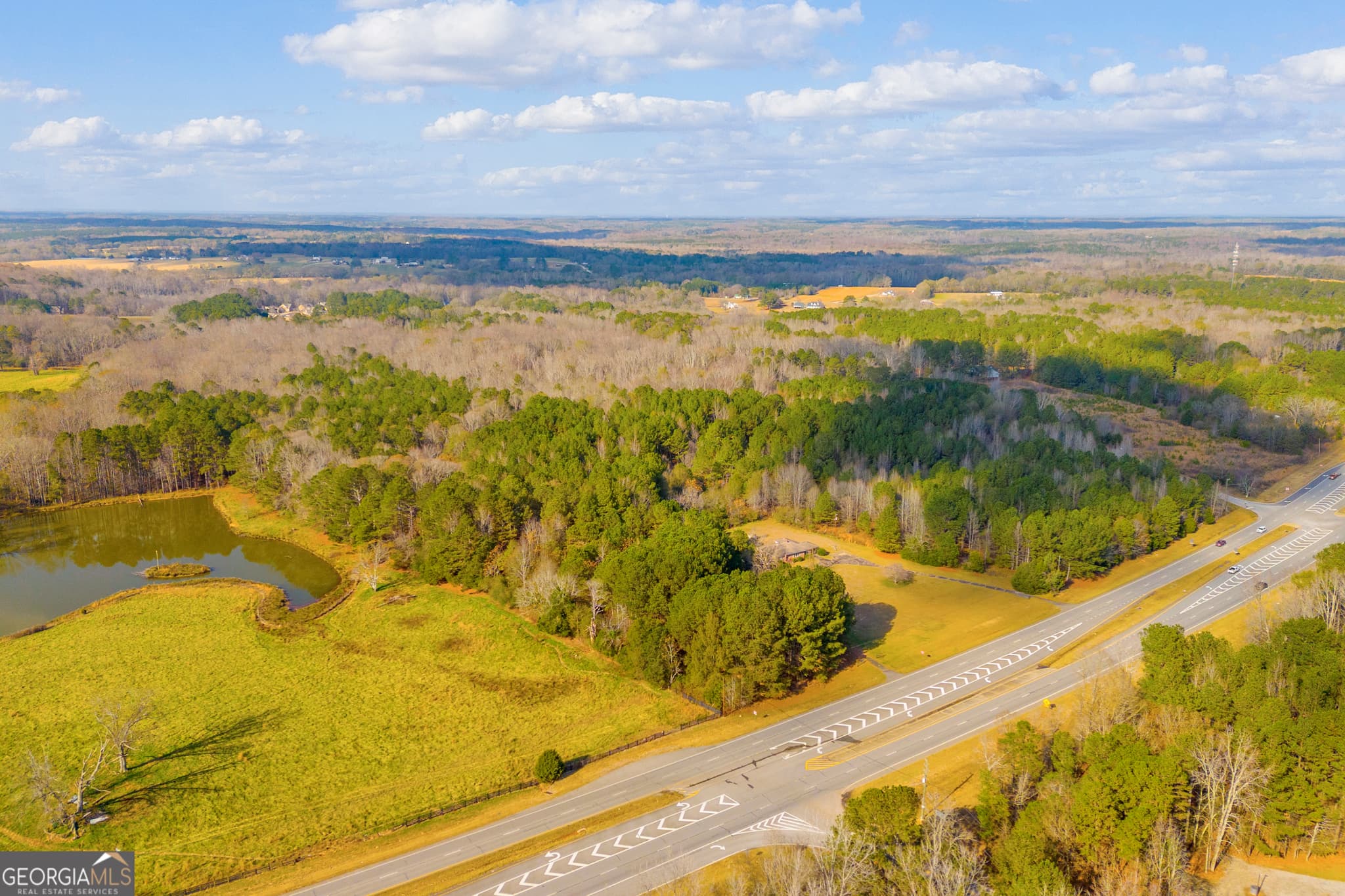unimproved land for sale at 375 Hwy 78, Monroe, GA 30655 — photo 10