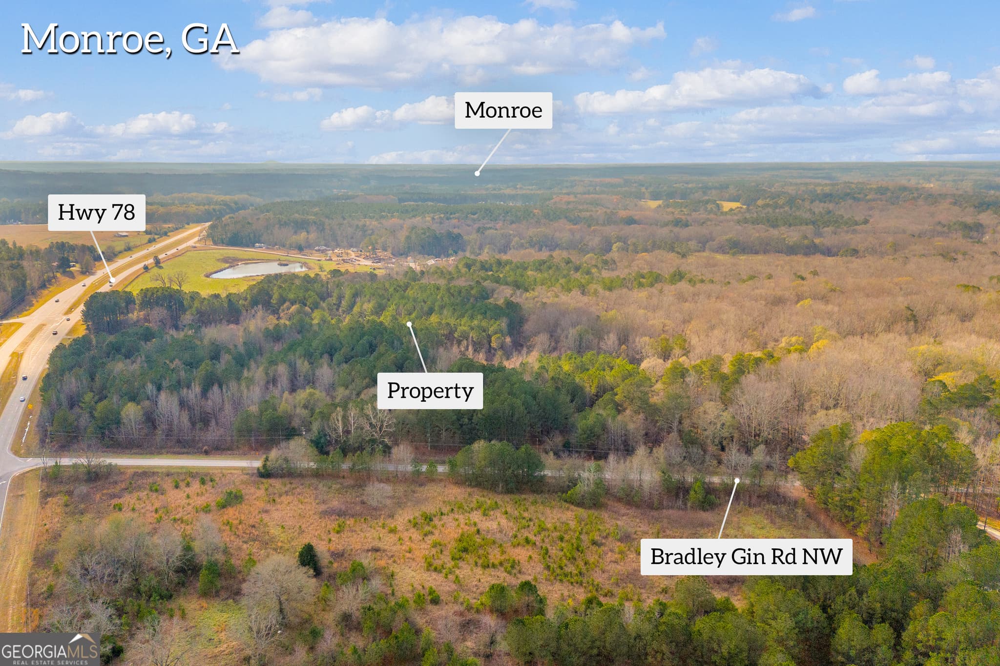 unimproved land for sale at 375 Hwy 78, Monroe, GA 30655 — photo 4