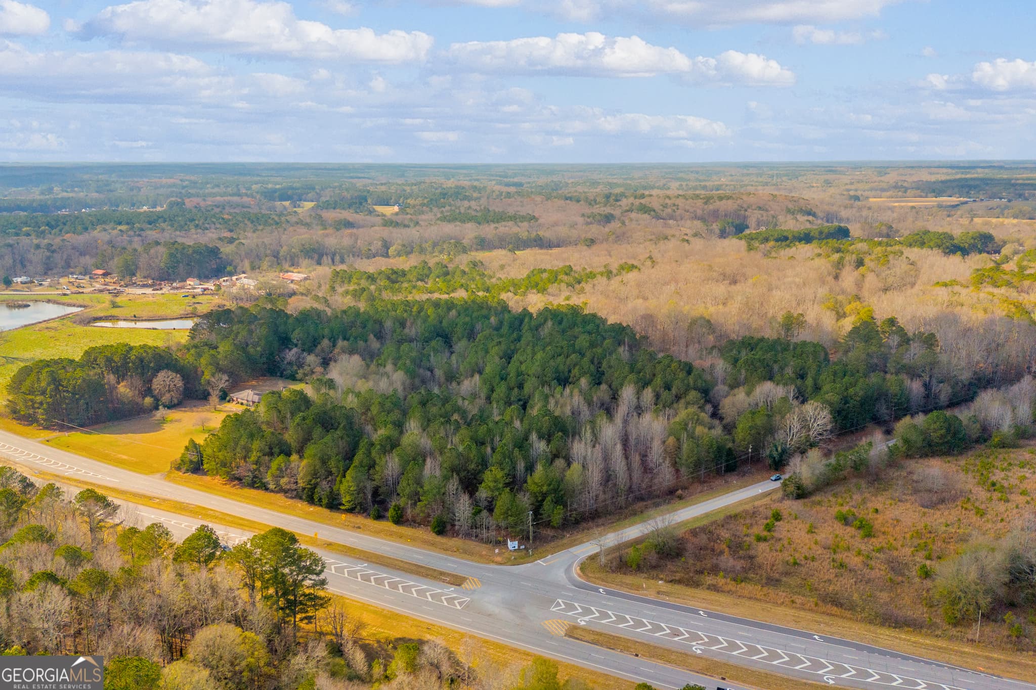 unimproved land for sale at 375 Hwy 78, Monroe, GA 30655 — photo 8