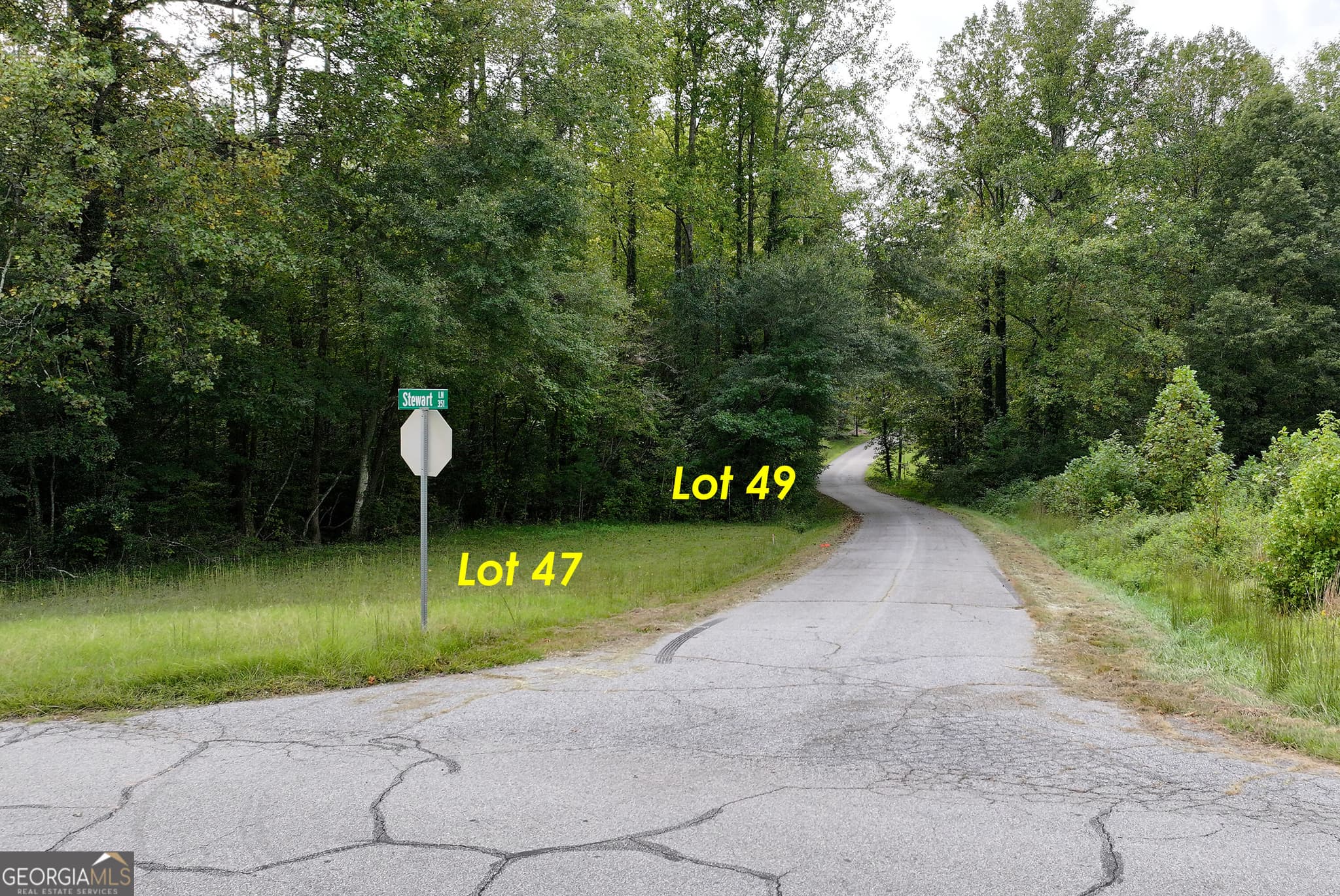 residential lot for sale at LOT 49 STEWART Drive, Clarkesville, GA 30523 — photo 1 of 5