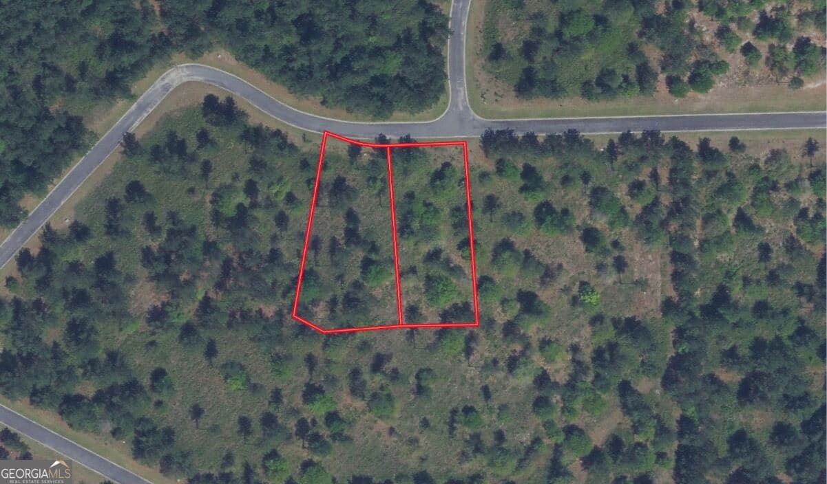 unimproved land for sale at 111 Big Horse Drive, Waynesville, GA 31566 — photo 1 of 4