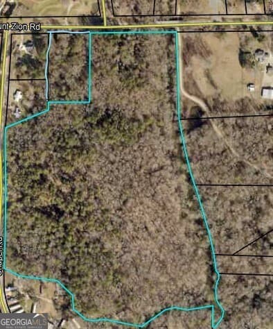 unimproved land for sale at 1202 Mount Zion Road, Carrollton, GA 30117 — photo 6