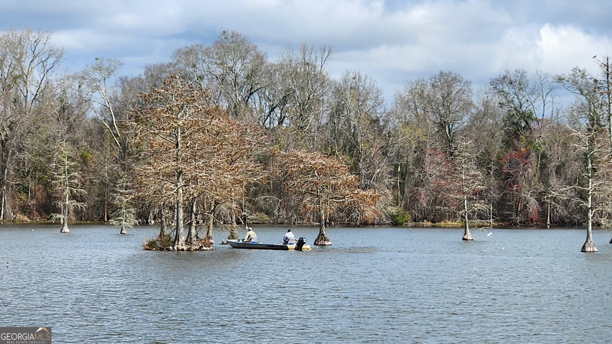 4 bedroom, 3 bathroom, 2,364 sq ft farm for sale at 2625 Hartford Lake Road, Hartford, AL 36344 — photo 5