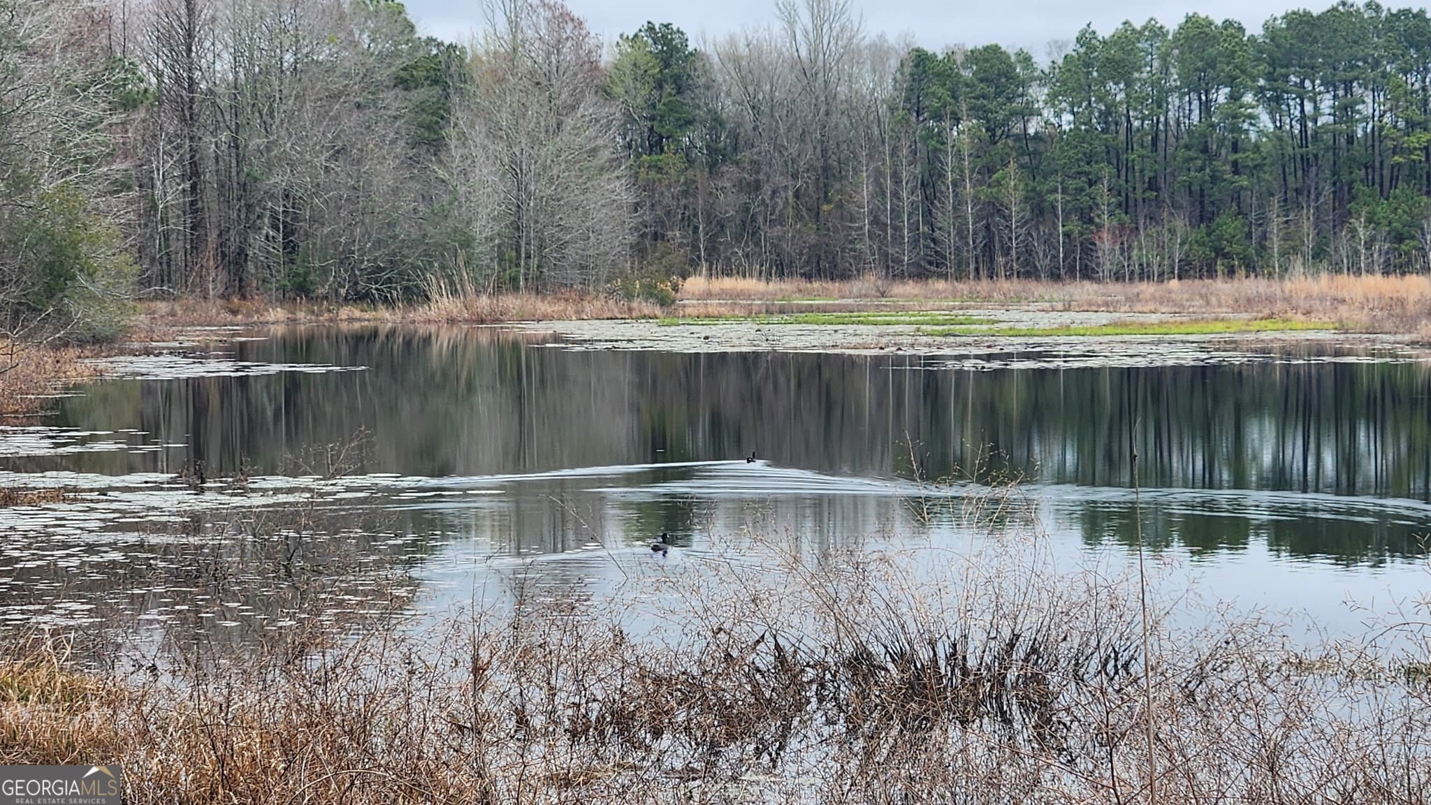 4 bedroom, 3 bathroom, 2,364 sq ft farm for sale at 2625 Hartford Lake Road, Hartford, AL 36344 — photo 9
