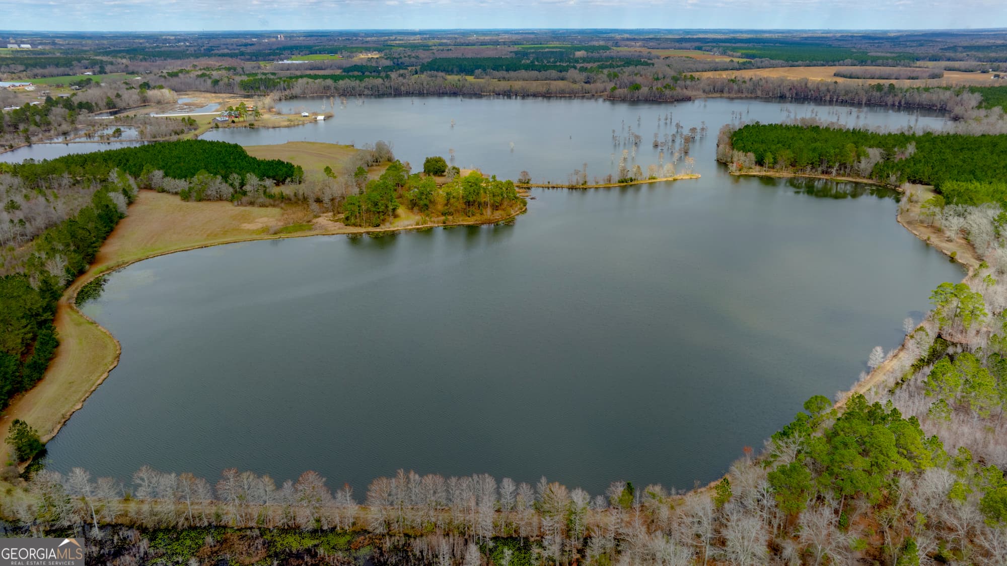 4 bedroom, 3 bathroom, 2,364 sq ft farm for sale at 2625 Hartford Lake Road, Hartford, AL 36344 — photo 4