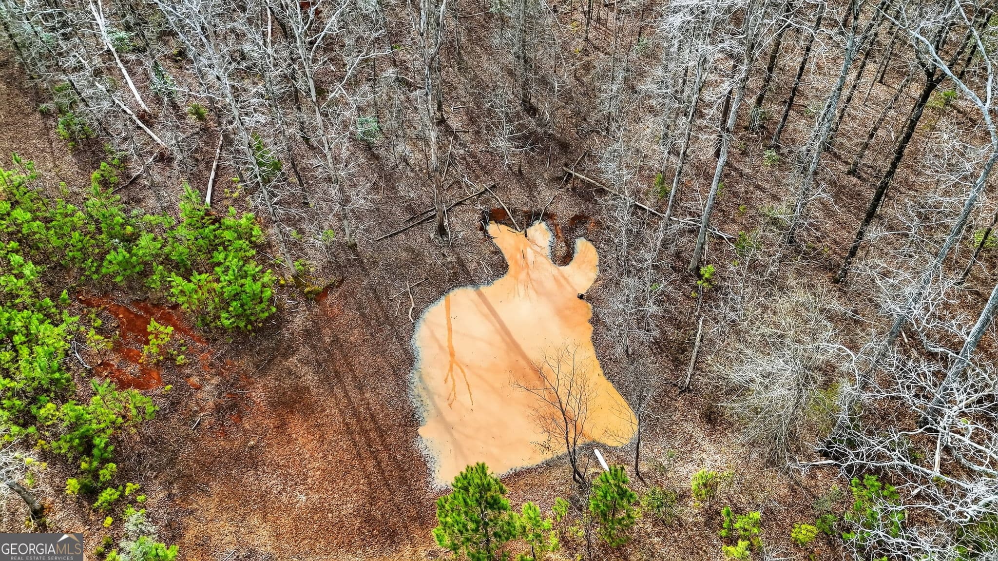 4 bedroom, 3 bathroom, 2,017 sq ft single family residence for sale at 762 High Falls Park Road, Barnesville, GA 30204 — photo 9
