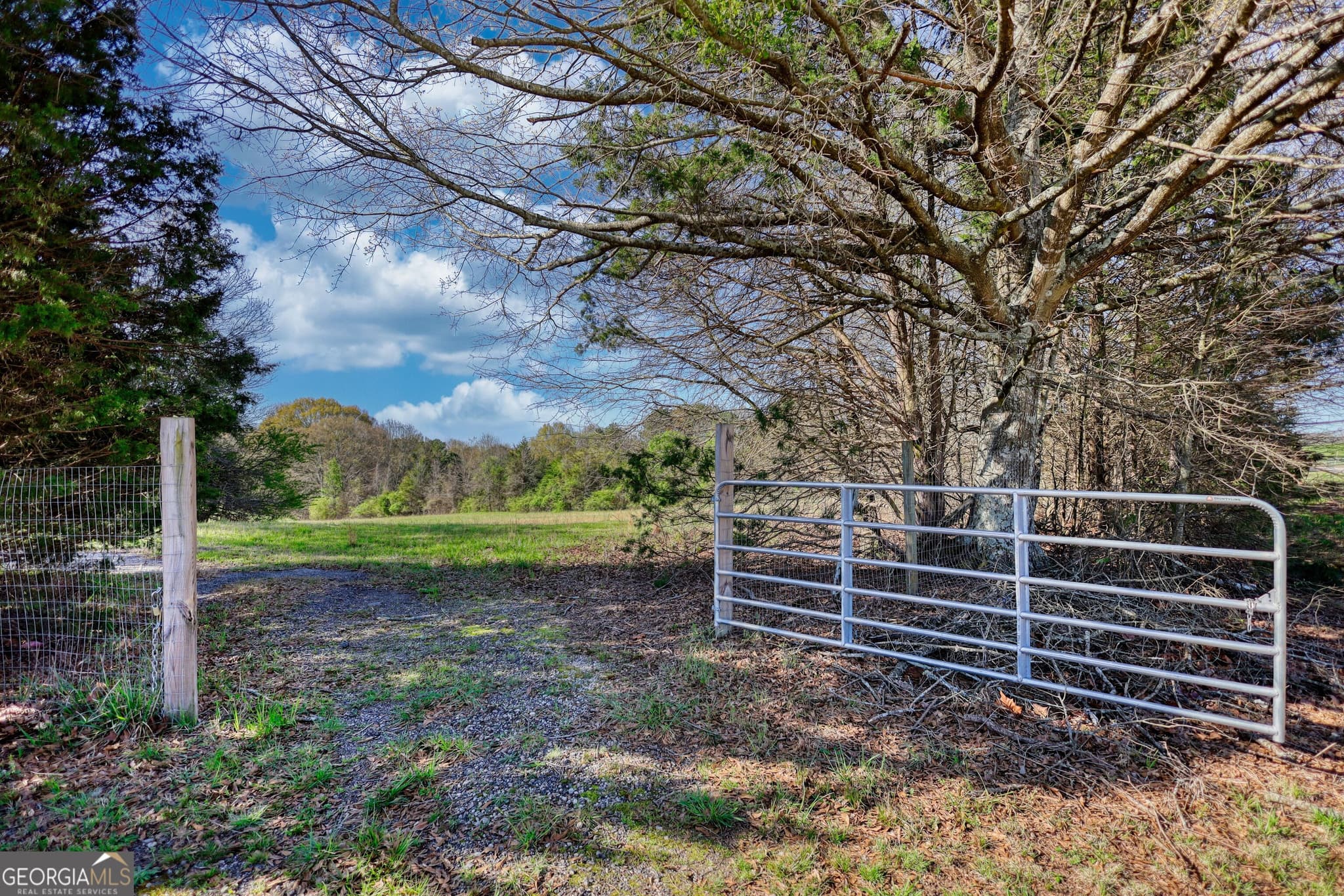 agriculture for sale at 610 Loth Wages Road, Dacula, GA 30019 — photo 6