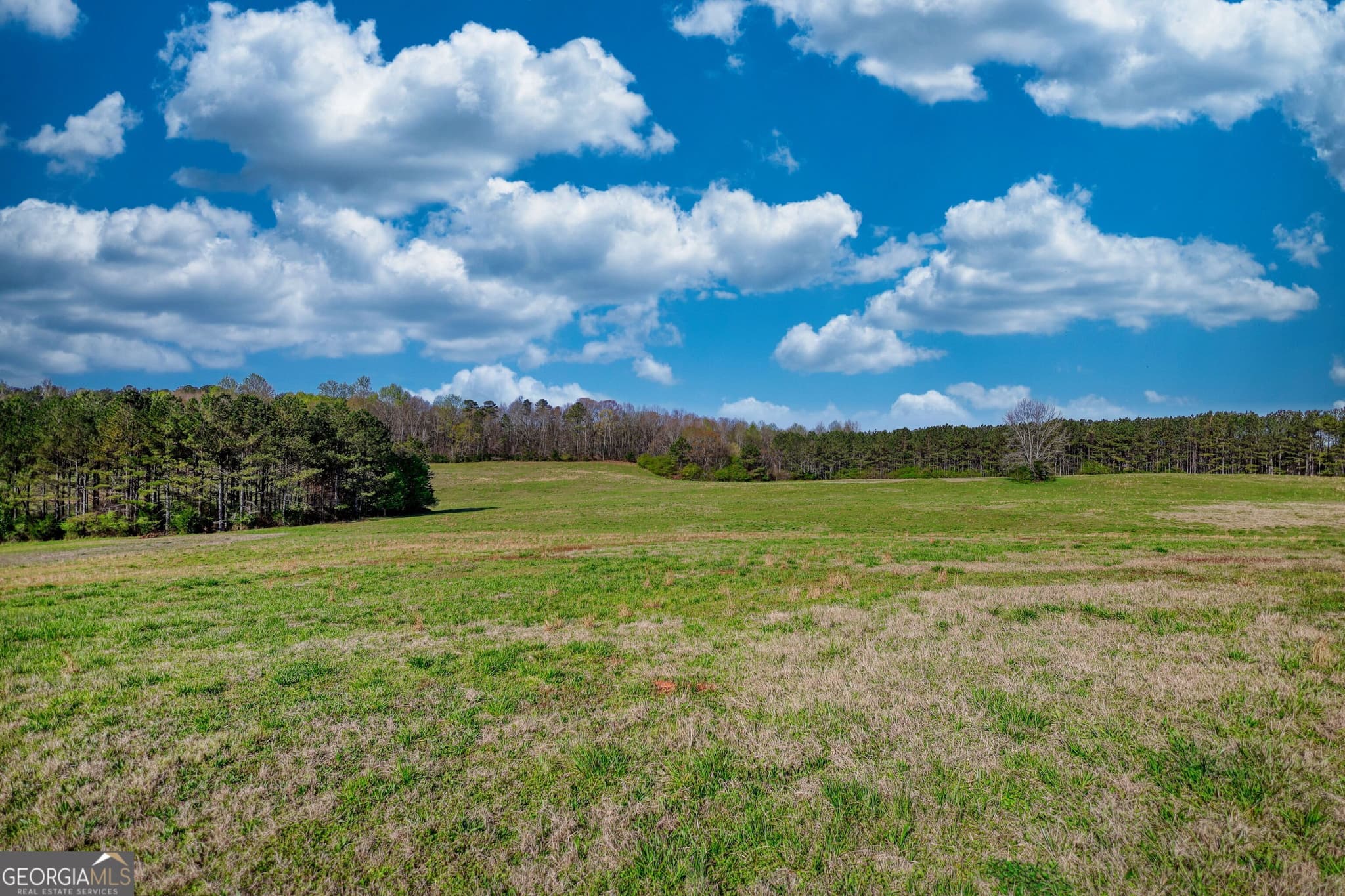 agriculture for sale at 610 Loth Wages Road, Dacula, GA 30019 — photo 1 of 47
