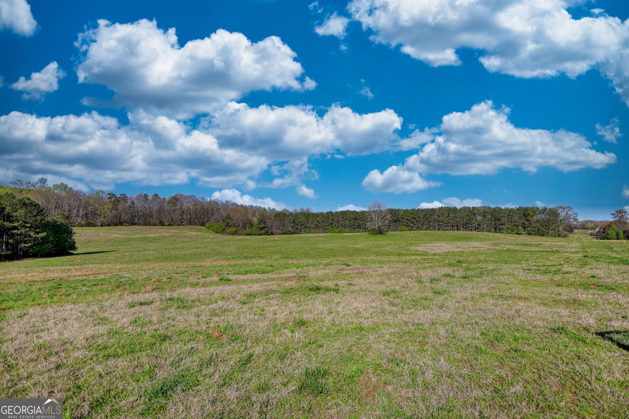 agriculture for sale at 610 Loth Wages Road, Dacula, GA 30019 — photo 9