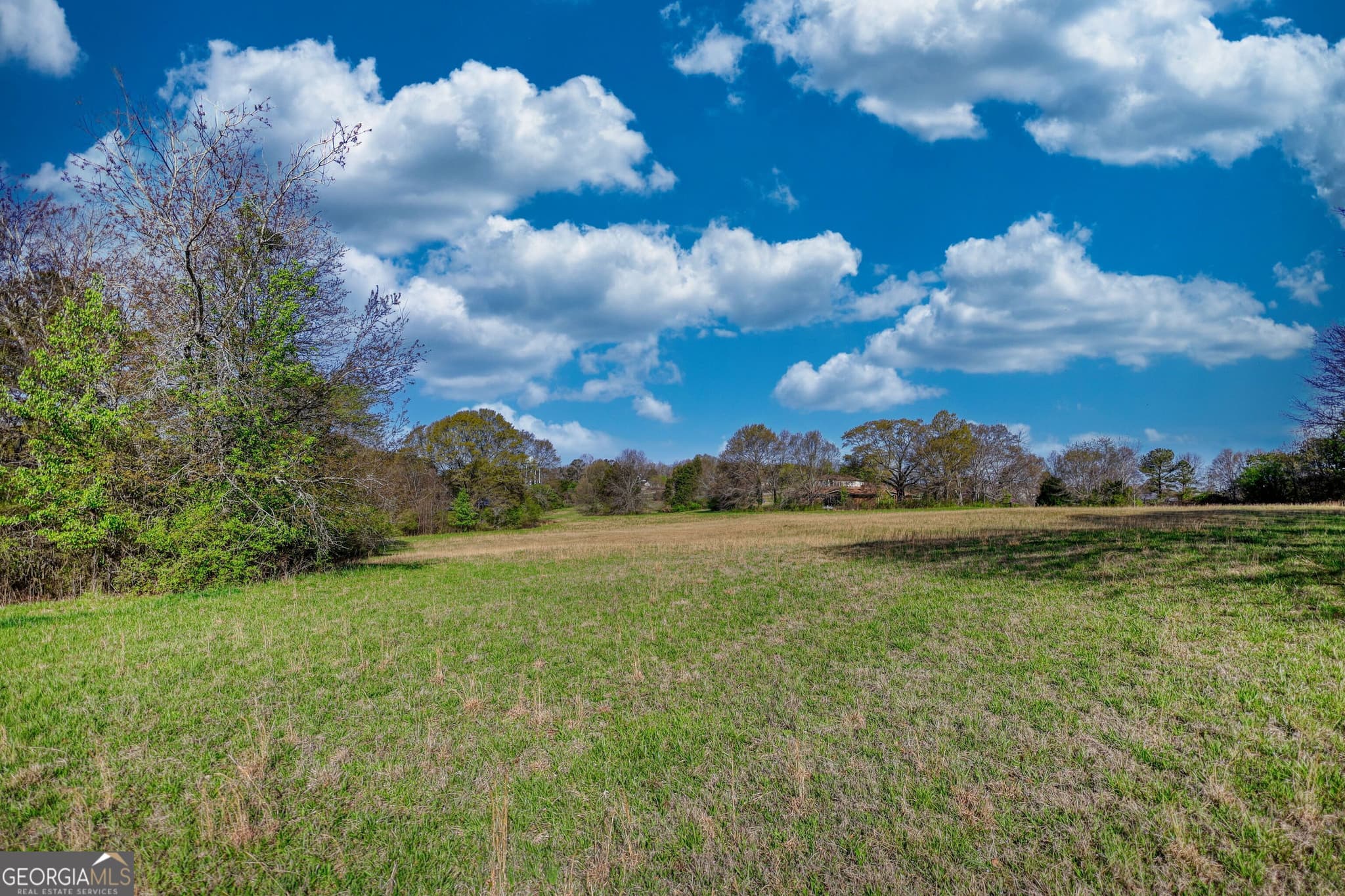 agriculture for sale at 610 Loth Wages Road, Dacula, GA 30019 — photo 10