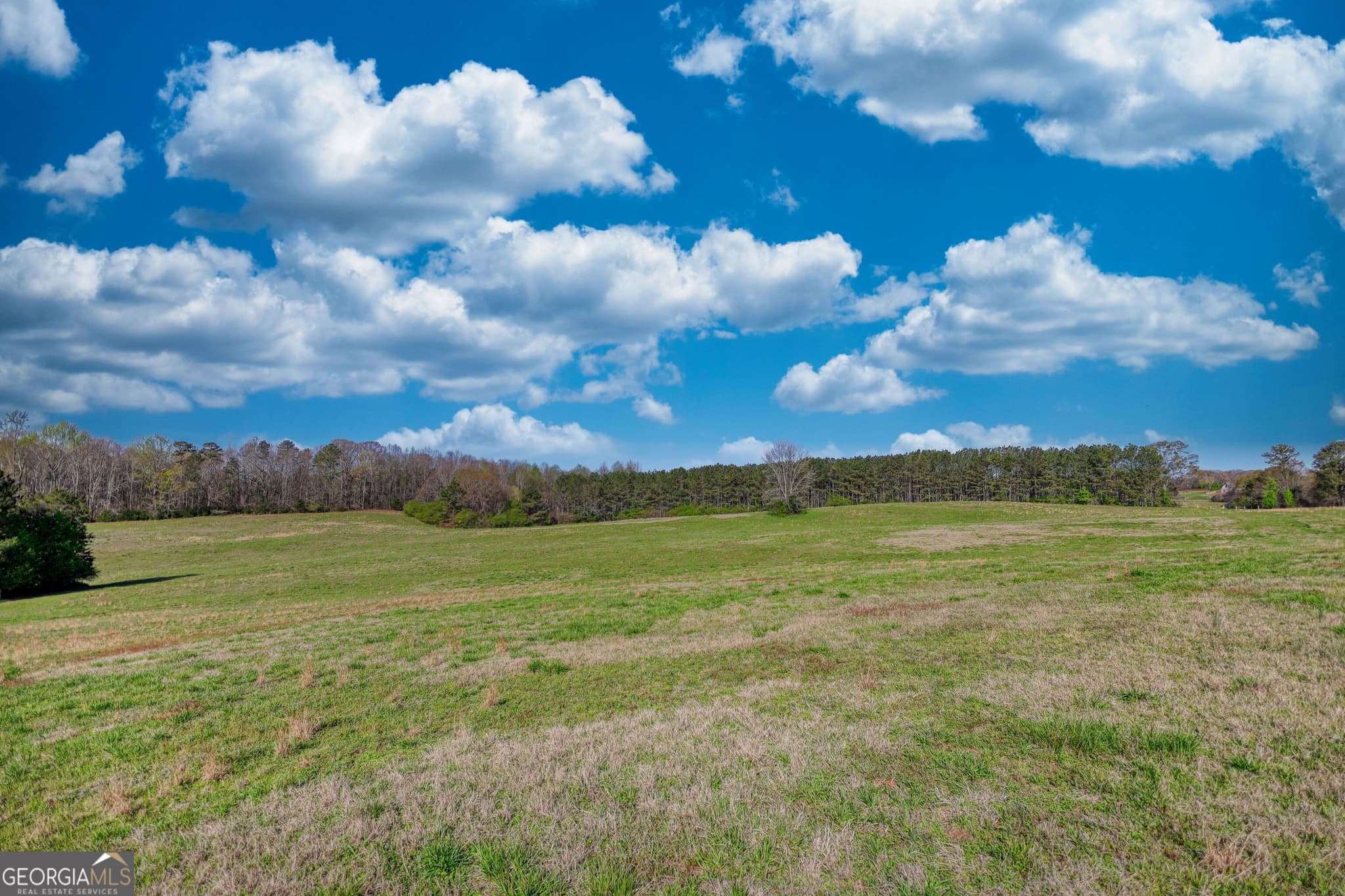 agriculture for sale at 610 Loth Wages Road, Dacula, GA 30019 — photo 8